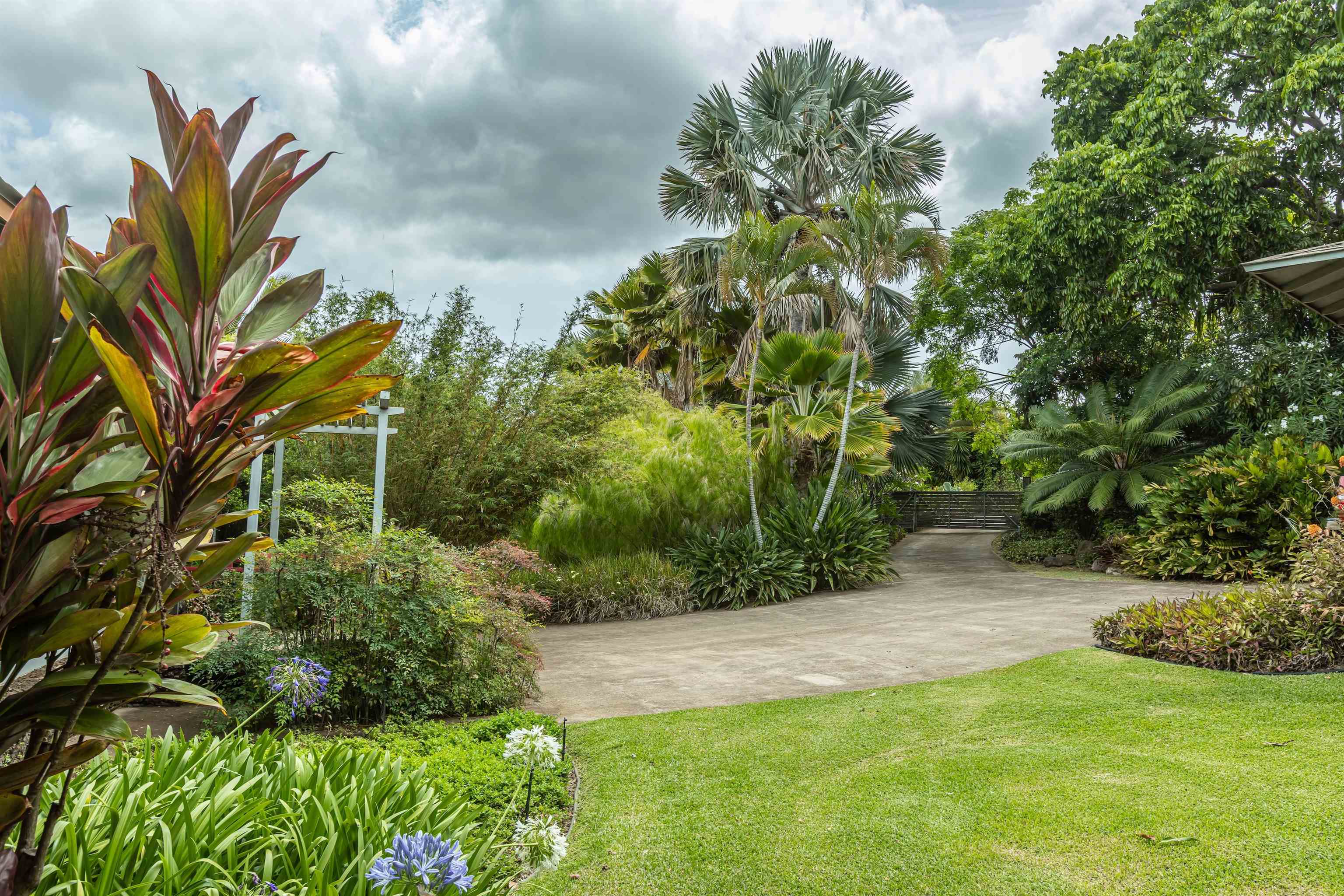 1195  Omaopio Rd Lower Kula, Kula/Ulupalakua/Kanaio home - photo 48 of 50