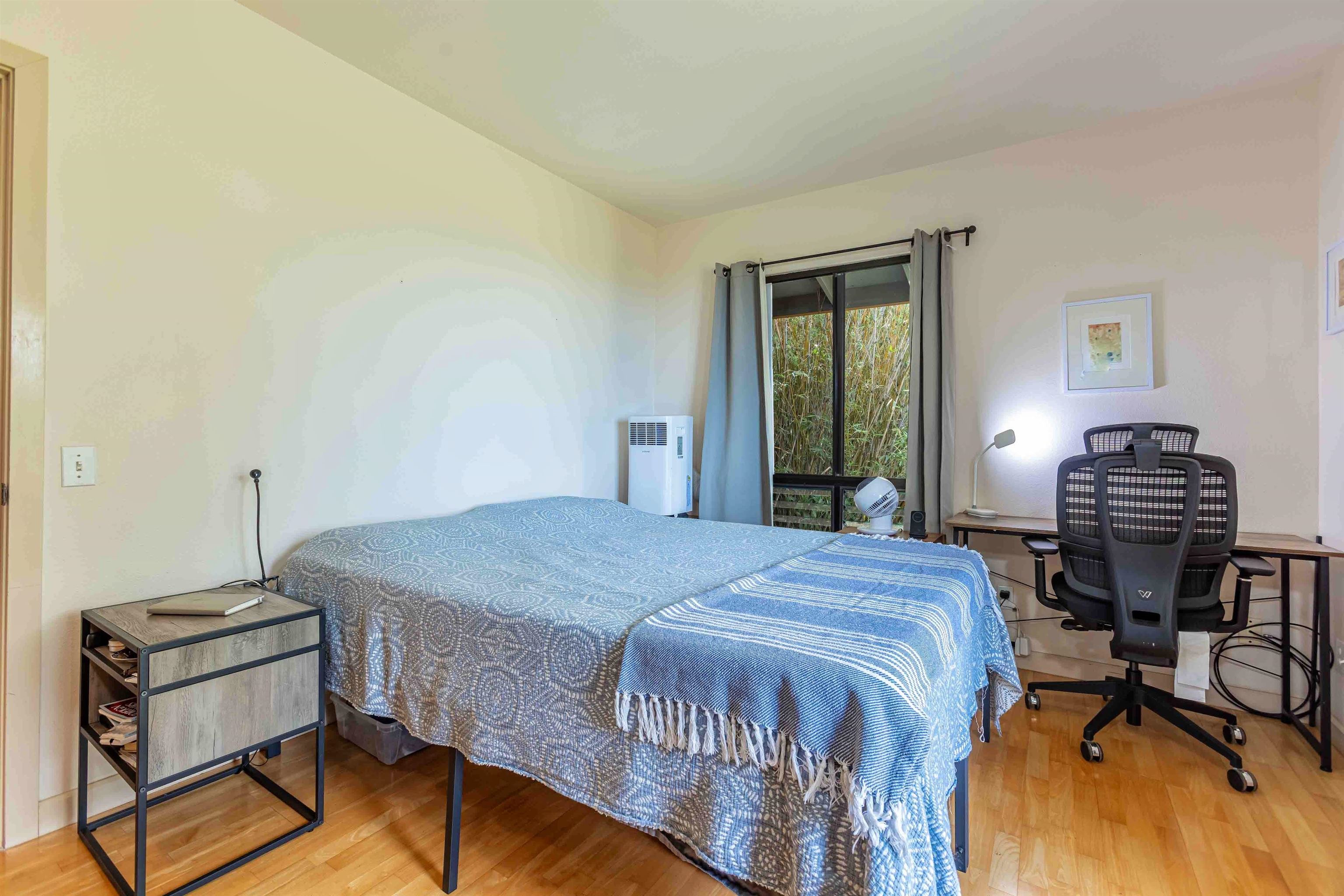 1195  Omaopio Rd Lower Kula, Kula/Ulupalakua/Kanaio home - photo 11 of 27