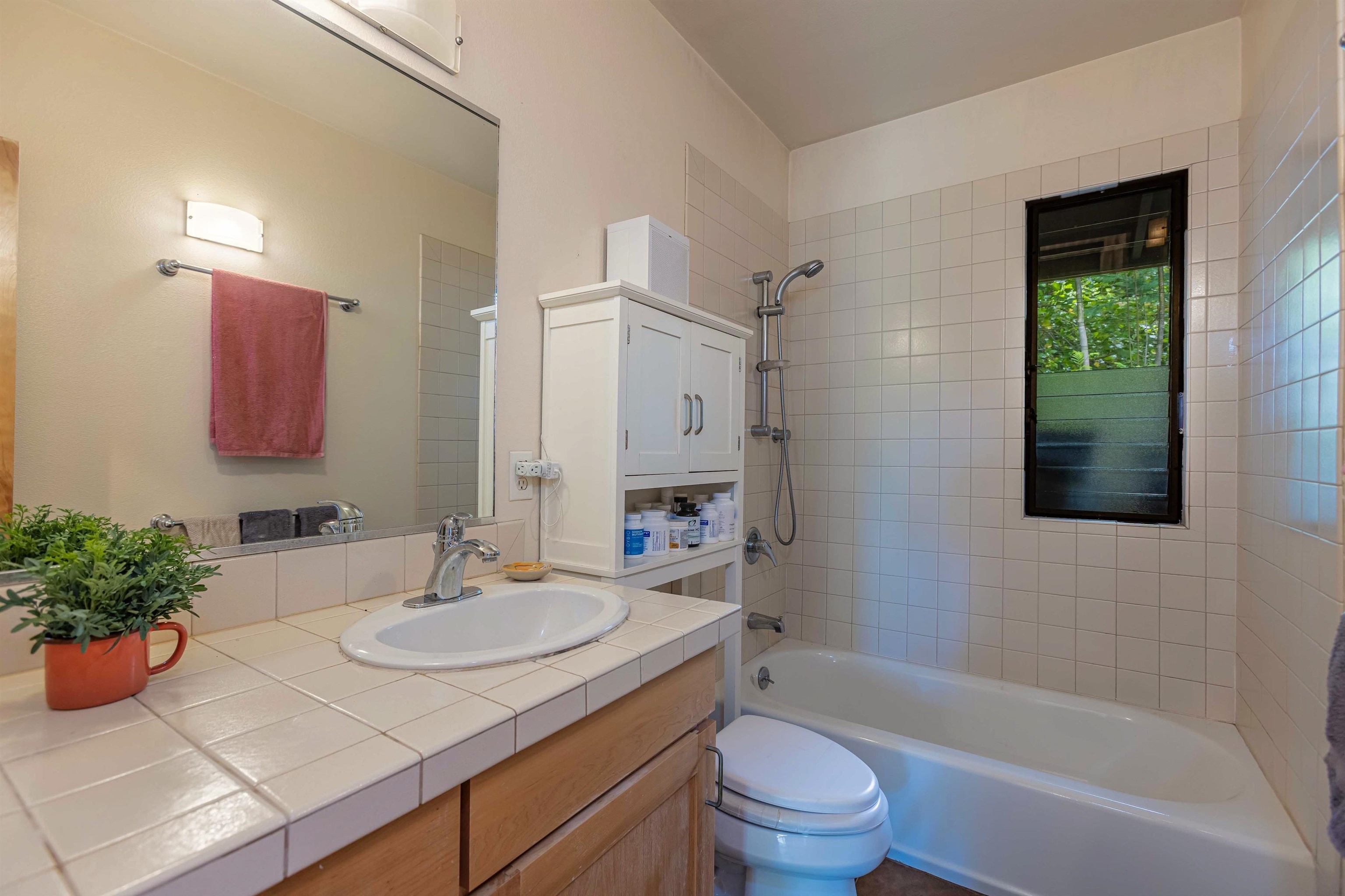 1195  Omaopio Rd Lower Kula, Kula/Ulupalakua/Kanaio home - photo 12 of 27