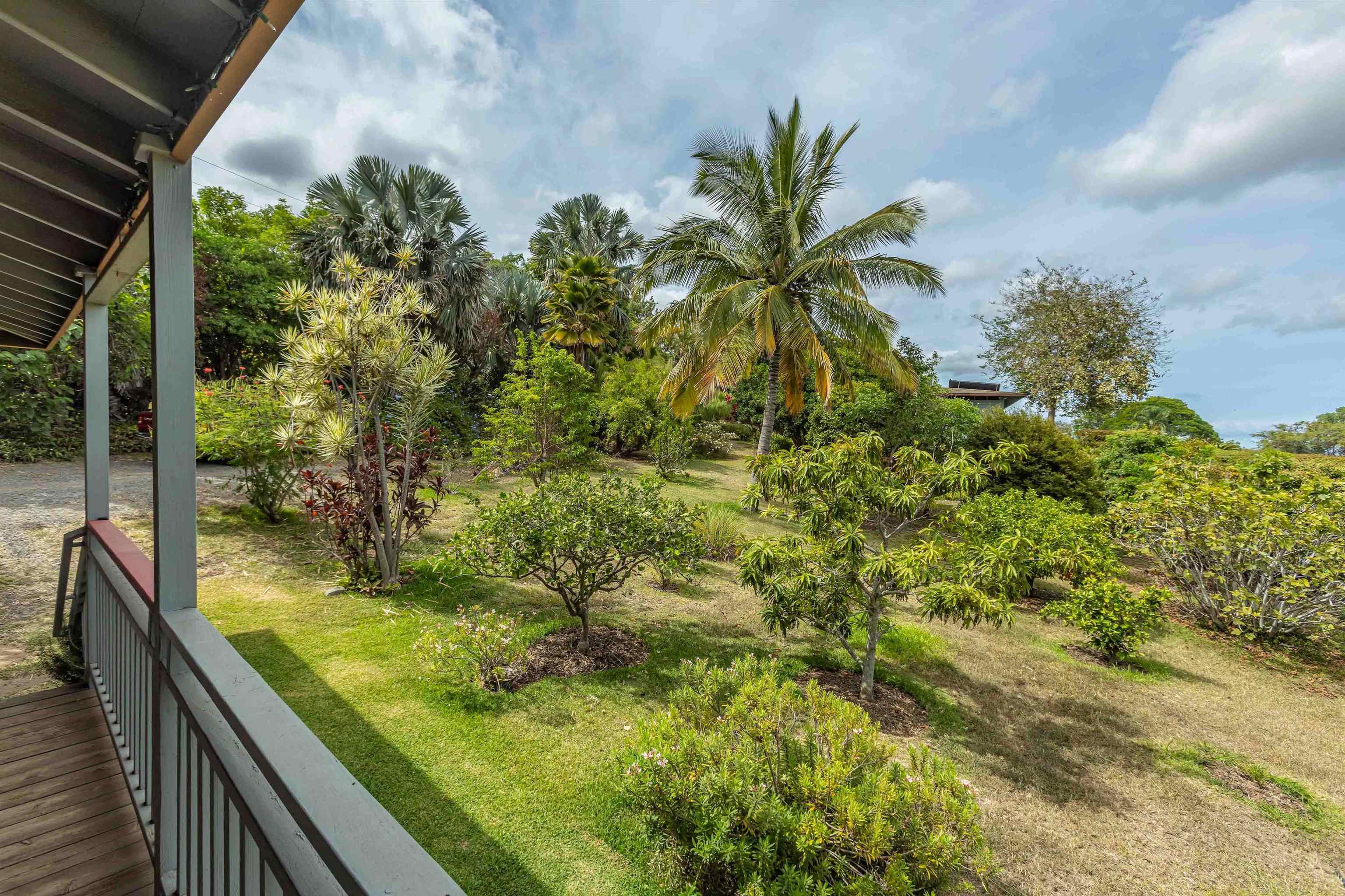 1195  Omaopio Rd Lower Kula, Kula/Ulupalakua/Kanaio home - photo 15 of 27