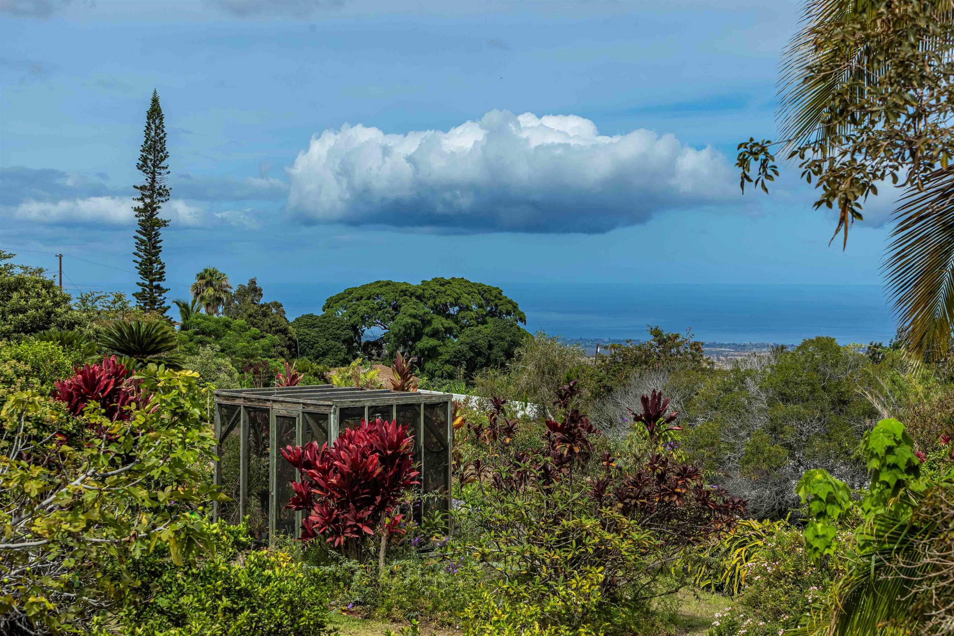 1195  Omaopio Rd Lower Kula, Kula/Ulupalakua/Kanaio home - photo 16 of 27