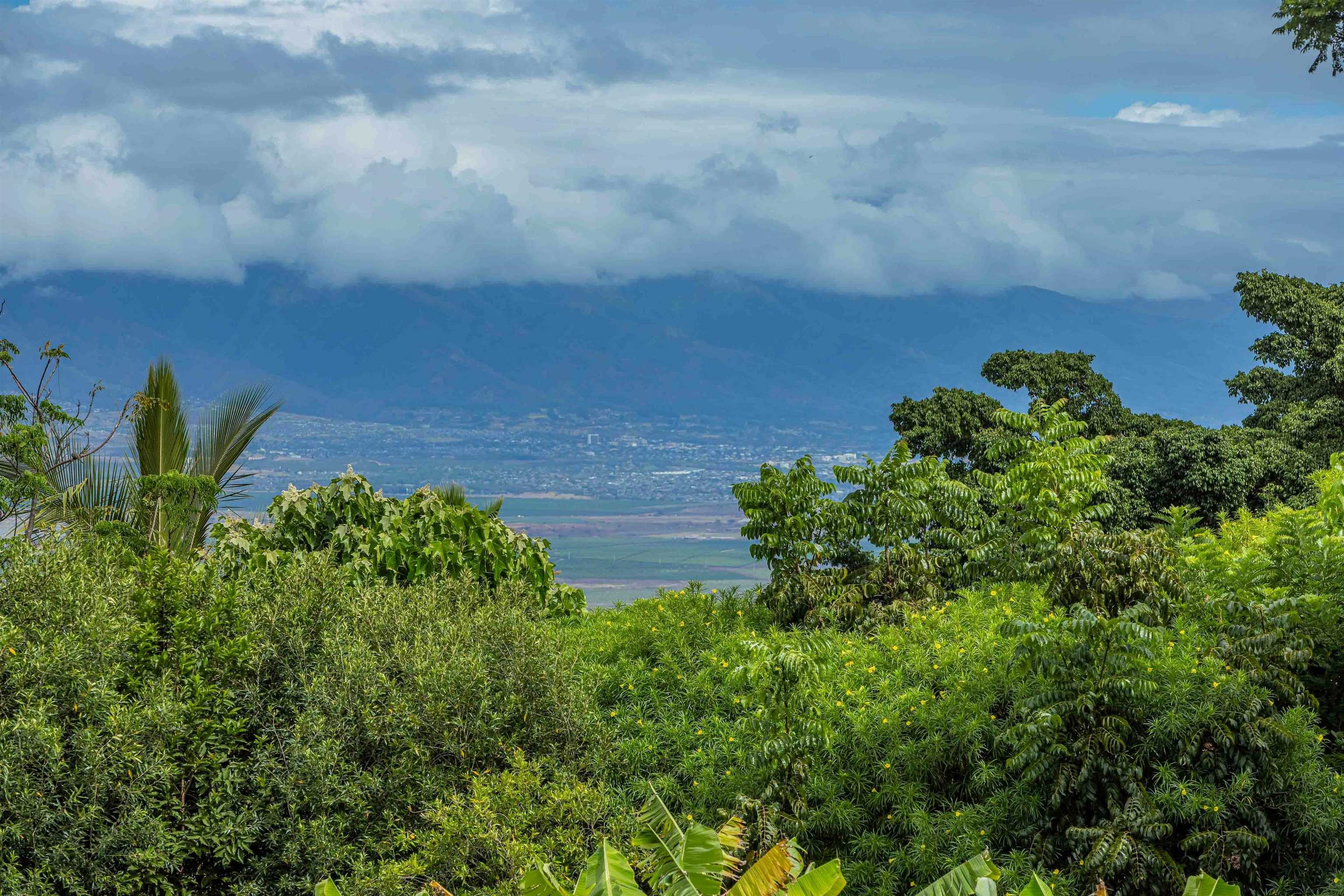 1195  Omaopio Rd Lower Kula, Kula/Ulupalakua/Kanaio home - photo 17 of 27