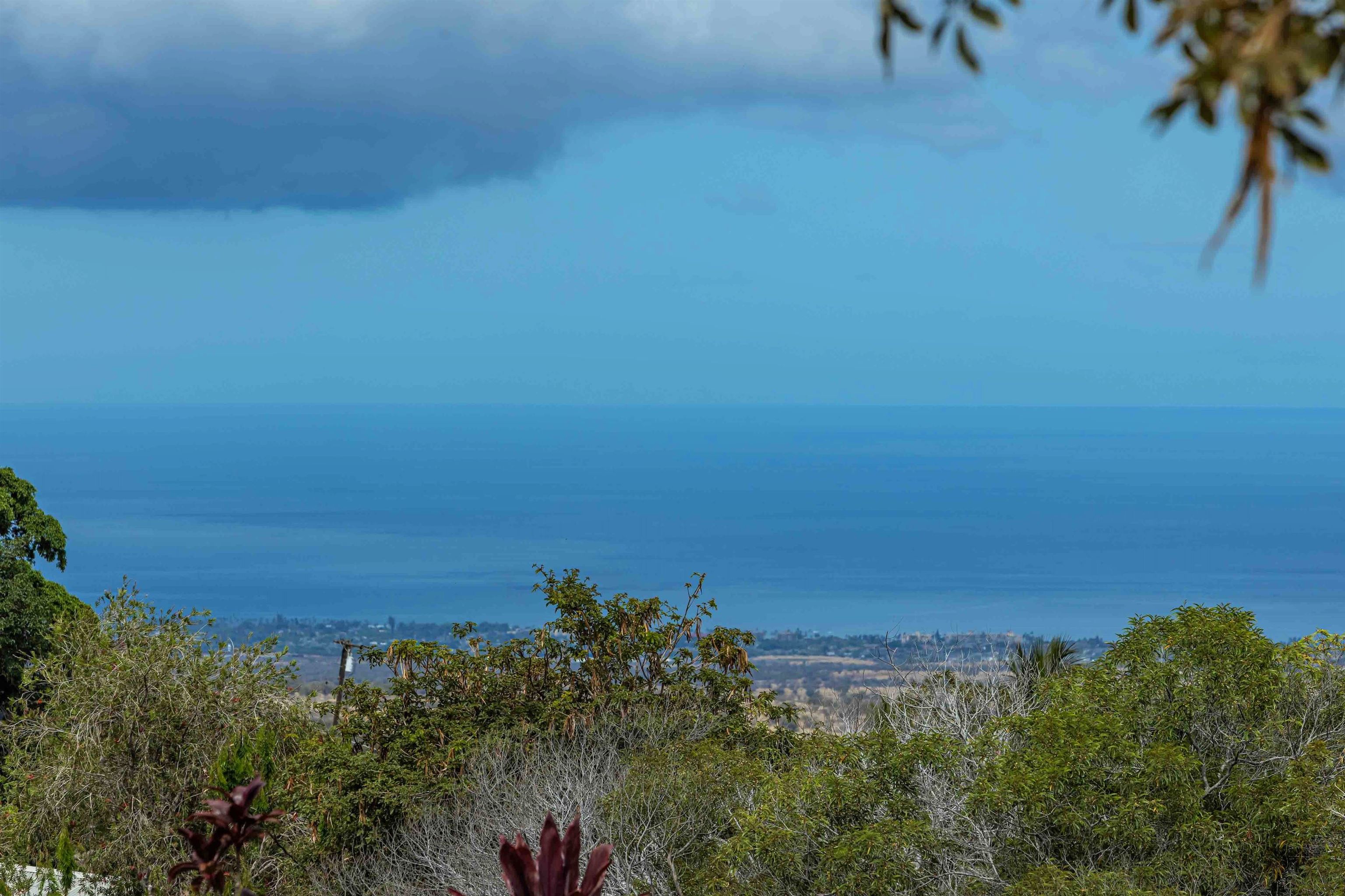 1195  Omaopio Rd Lower Kula, Kula/Ulupalakua/Kanaio home - photo 18 of 27