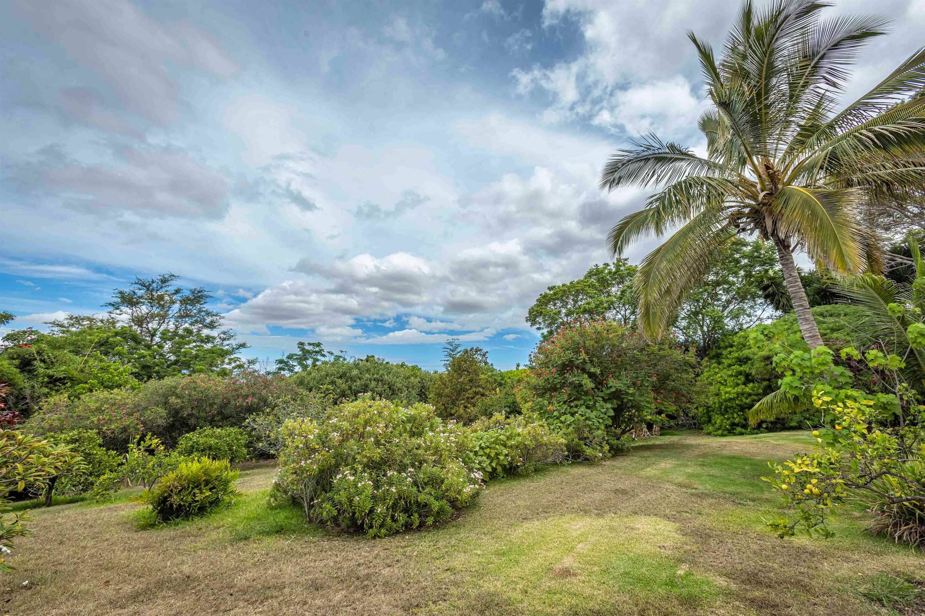 1195  Omaopio Rd Lower Kula, Kula/Ulupalakua/Kanaio home - photo 21 of 27