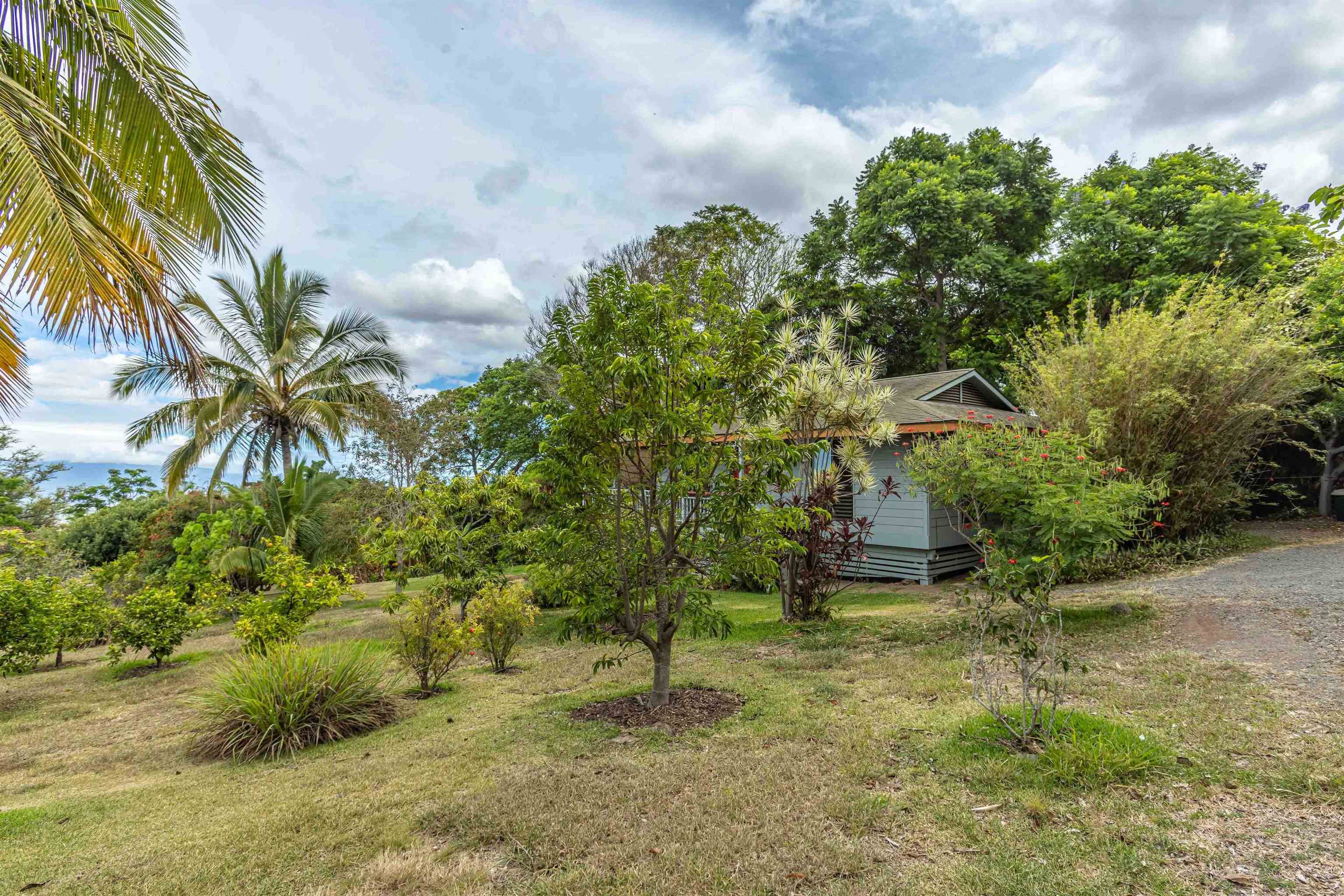 1195  Omaopio Rd Lower Kula, Kula/Ulupalakua/Kanaio home - photo 23 of 27