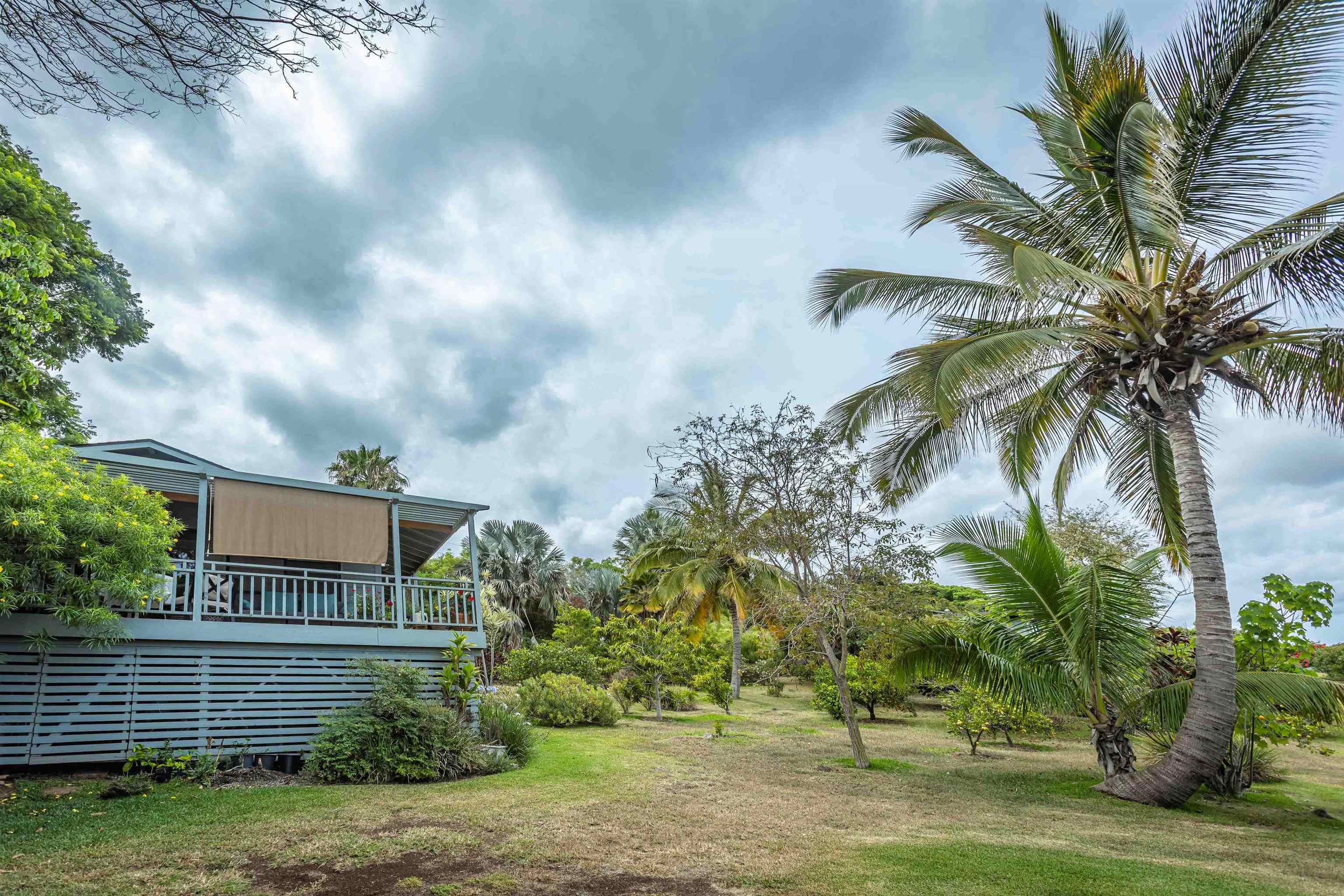 1195  Omaopio Rd Lower Kula, Kula/Ulupalakua/Kanaio home - photo 24 of 27