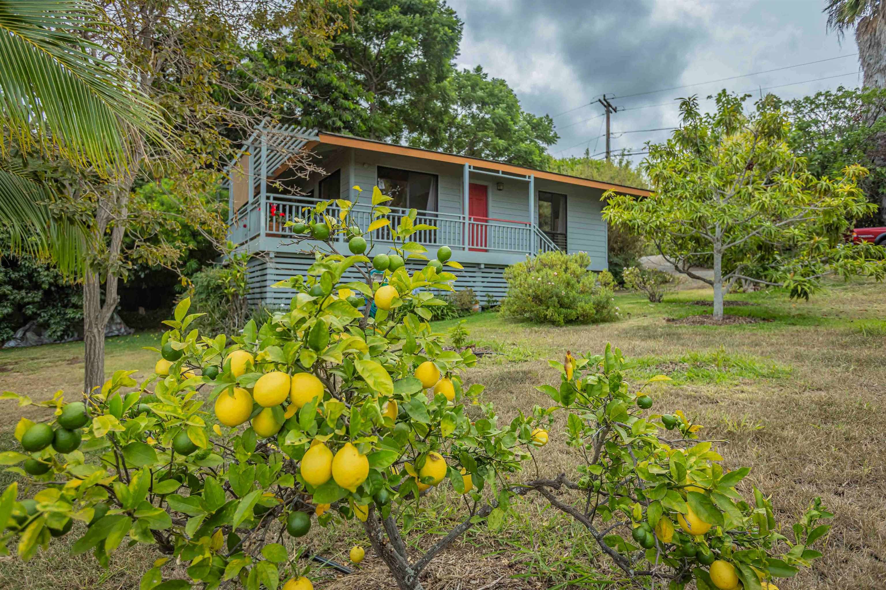 1195  Omaopio Rd Lower Kula, Kula/Ulupalakua/Kanaio home - photo 25 of 27