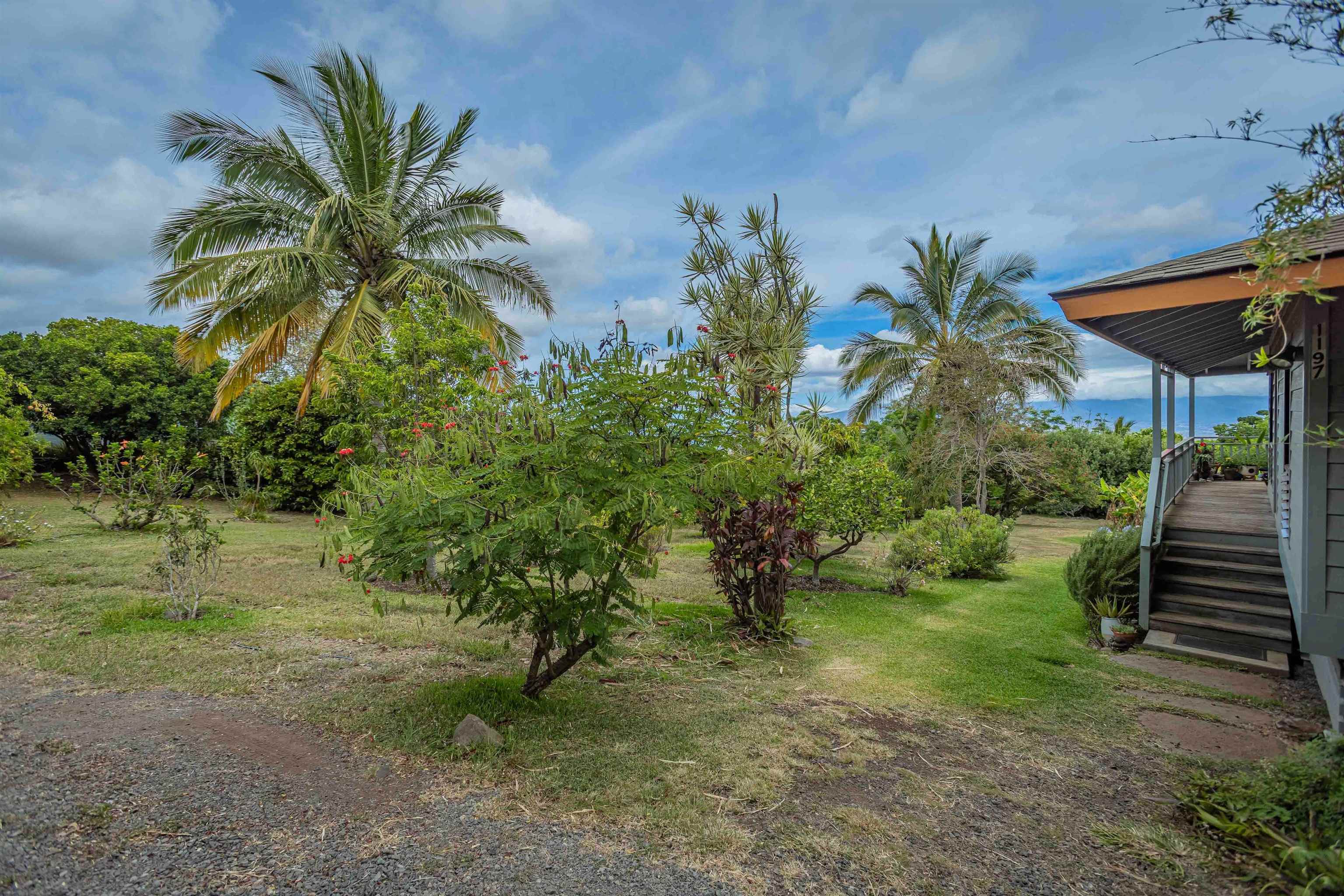 1195  Omaopio Rd Lower Kula, Kula/Ulupalakua/Kanaio home - photo 26 of 27
