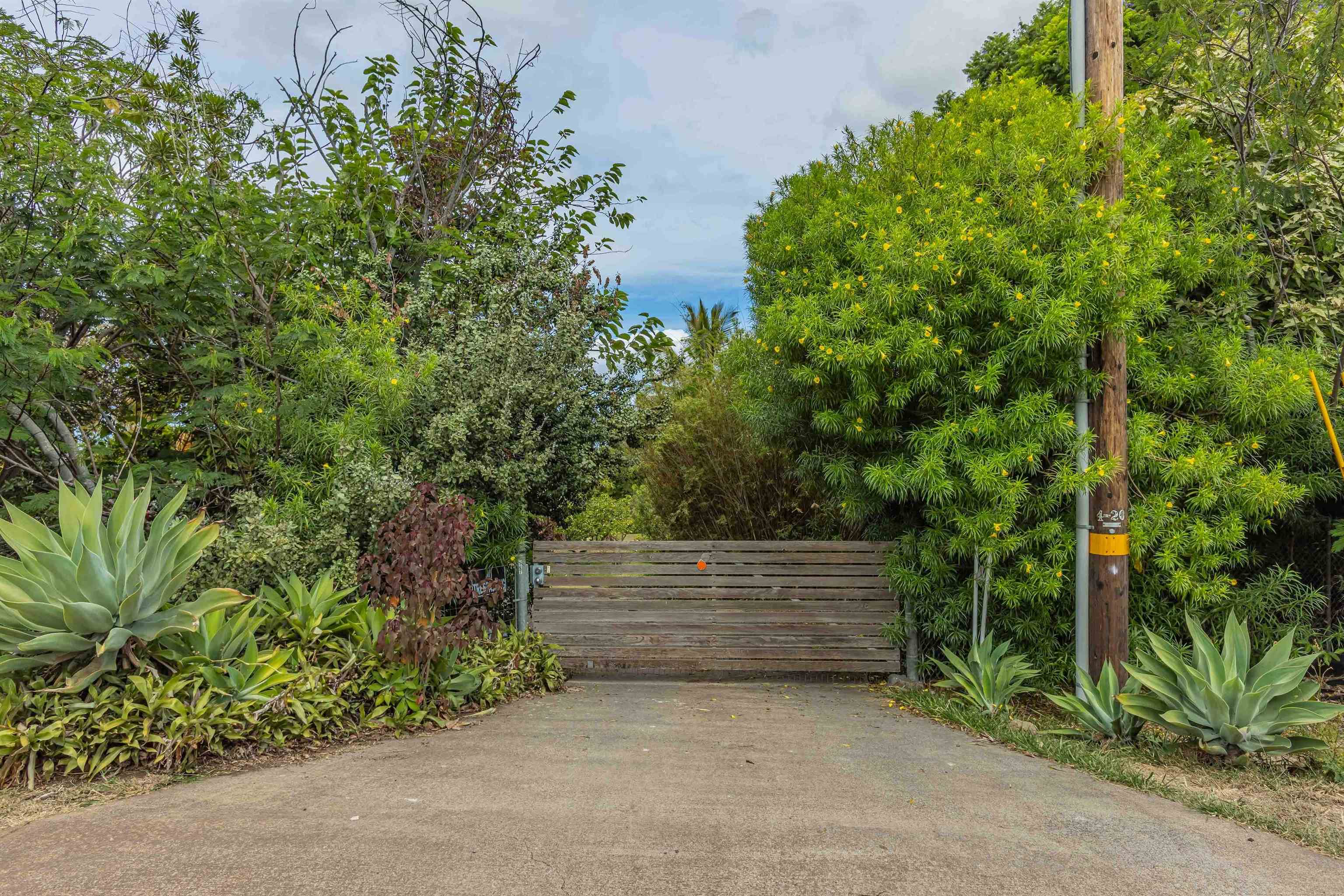 1195  Omaopio Rd Lower Kula, Kula/Ulupalakua/Kanaio home - photo 27 of 27