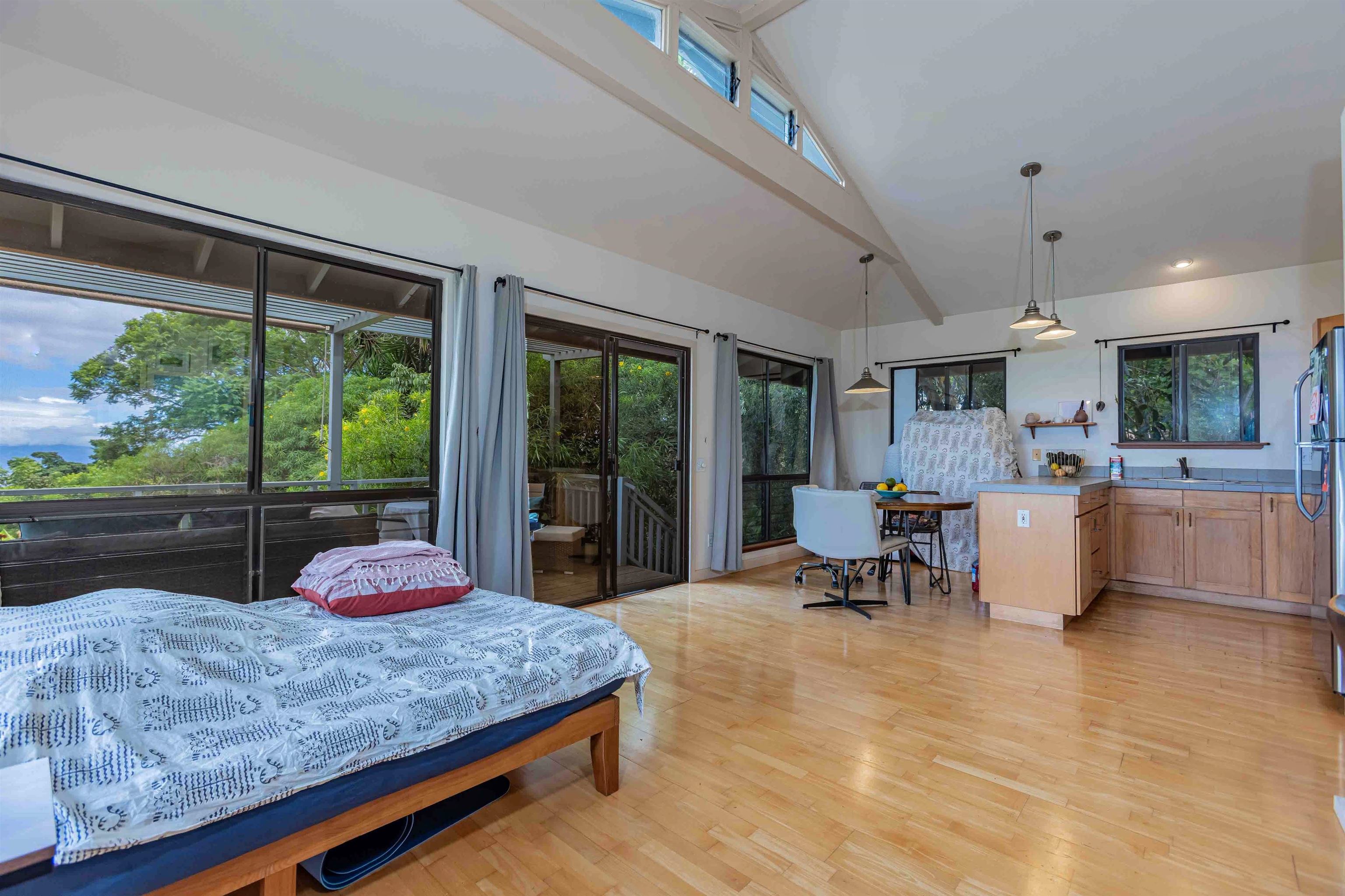 1195  Omaopio Rd Lower Kula, Kula/Ulupalakua/Kanaio home - photo 6 of 27