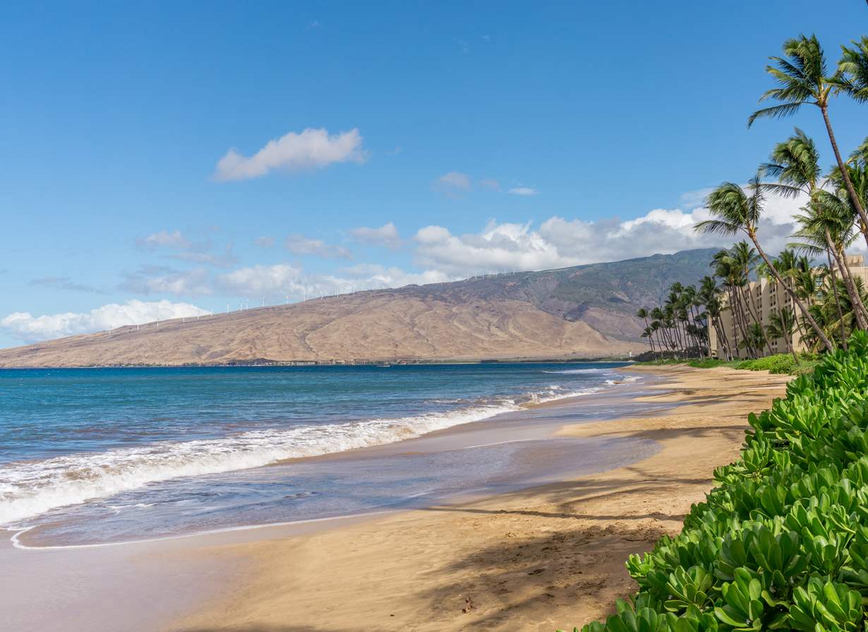 Maalaea Surf condo # B1, Kihei, Hawaii - photo 25 of 27
