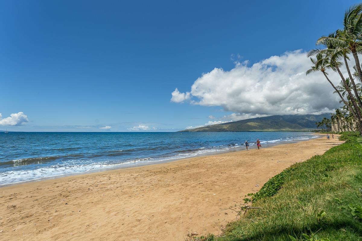Maalaea Surf condo # C5, Kihei, Hawaii - photo 47 of 47