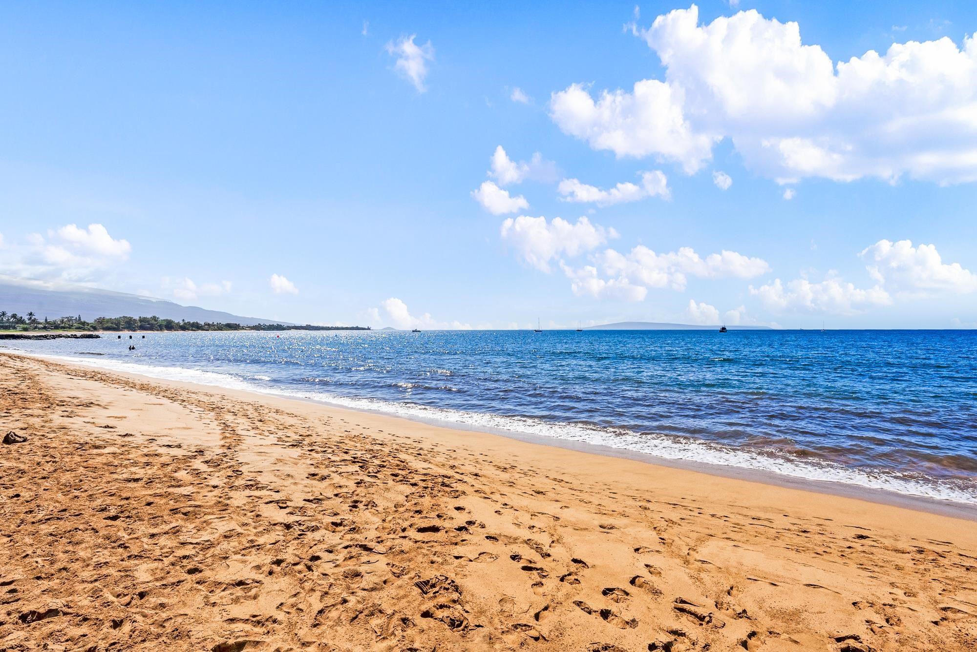 Maalaea Surf condo # C9, Kihei, Hawaii - photo 33 of 50