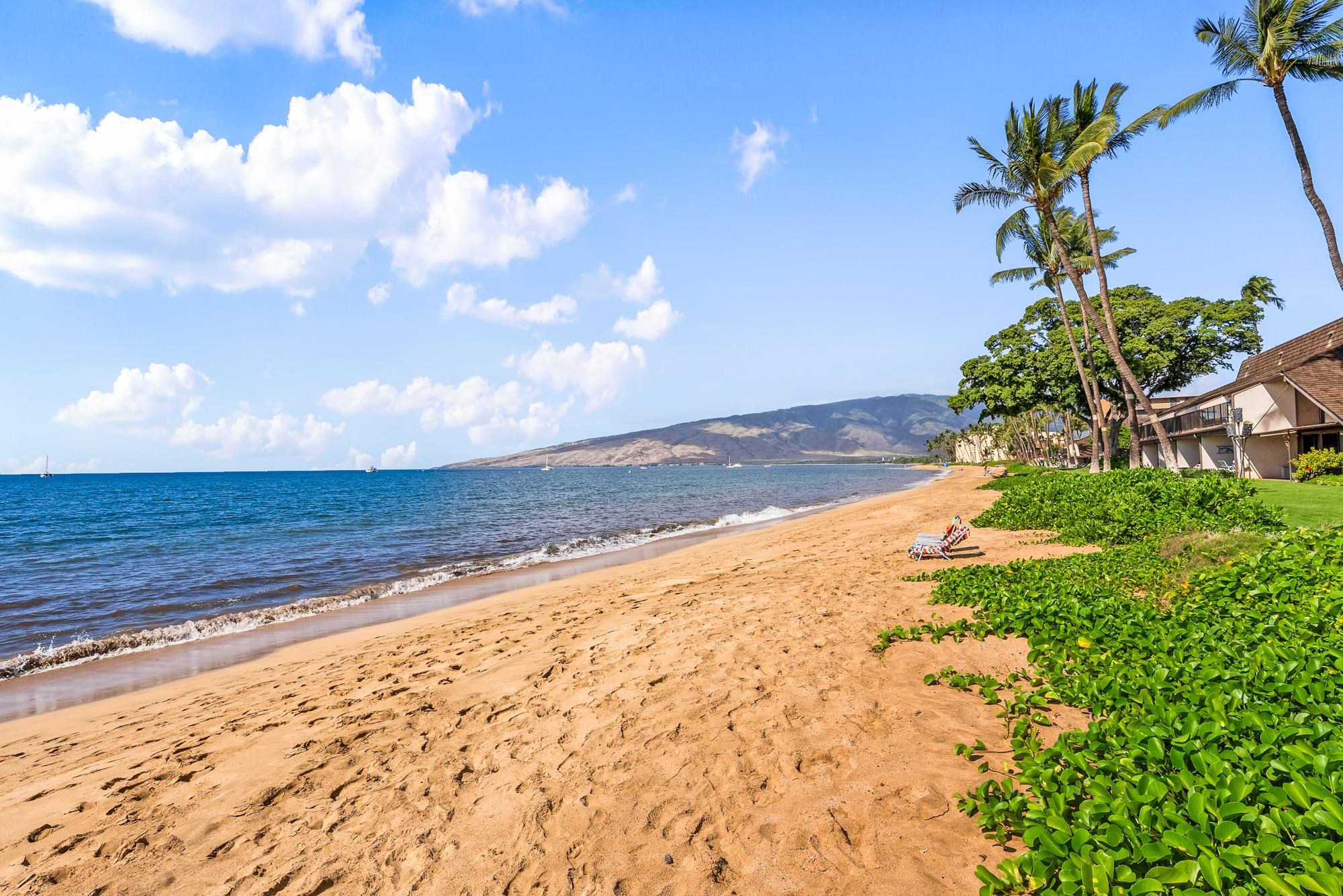 Maalaea Surf condo # C9, Kihei, Hawaii - photo 34 of 50