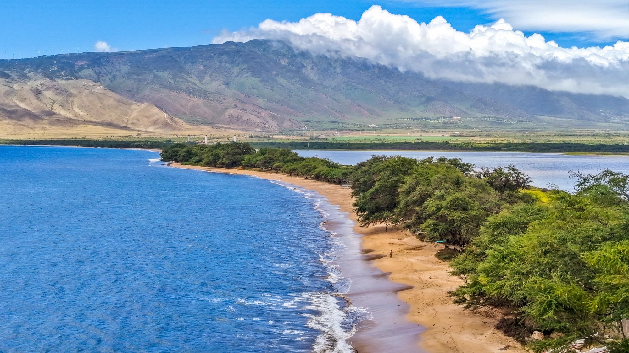 Maalaea Surf condo # C9, Kihei, Hawaii - photo 6 of 50