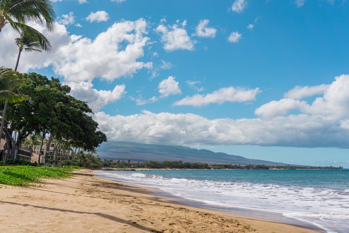 Maalaea Surf condo # D8, Kihei, Hawaii - photo 4 of 27
