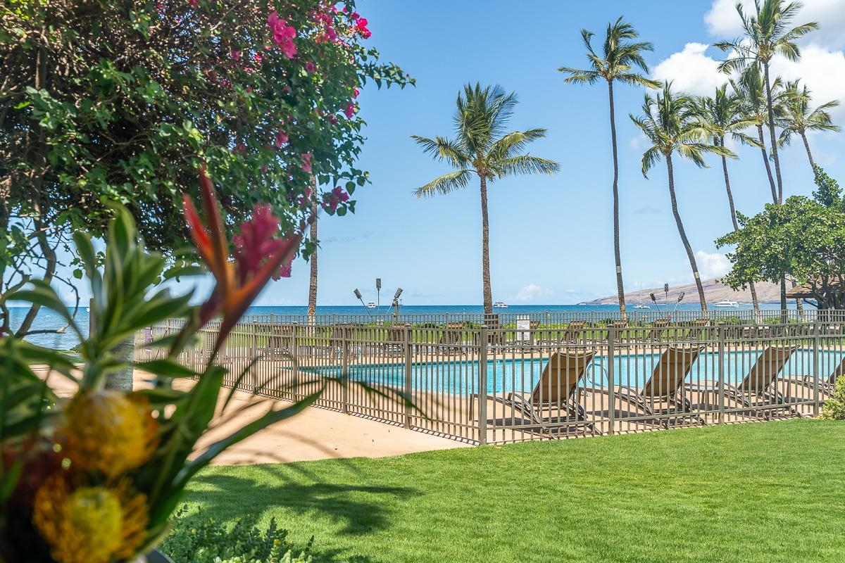 Maalaea Surf condo # E2, Kihei, Hawaii - photo 22 of 48