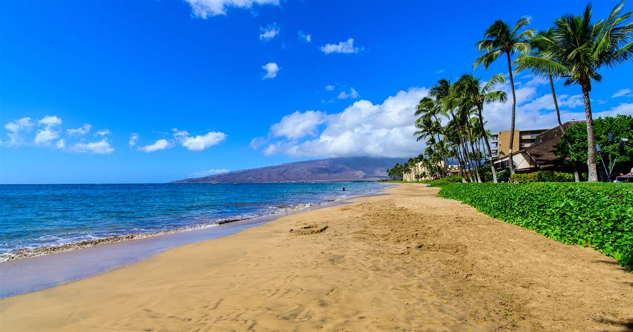 Maalaea Surf condo # E3, Kihei, Hawaii - photo 3 of 21