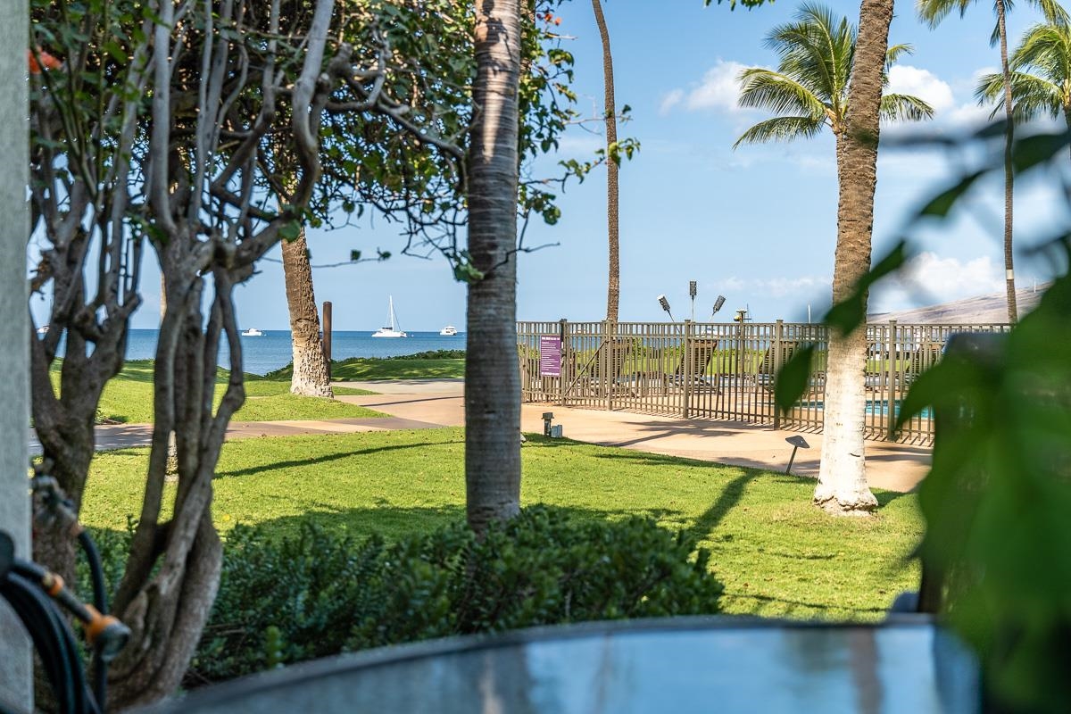 Maalaea Surf condo # E3, Kihei, Hawaii - photo 39 of 50