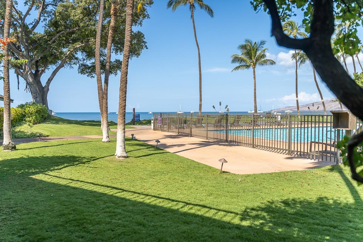 Maalaea Surf condo # E3, Kihei, Hawaii - photo 40 of 50