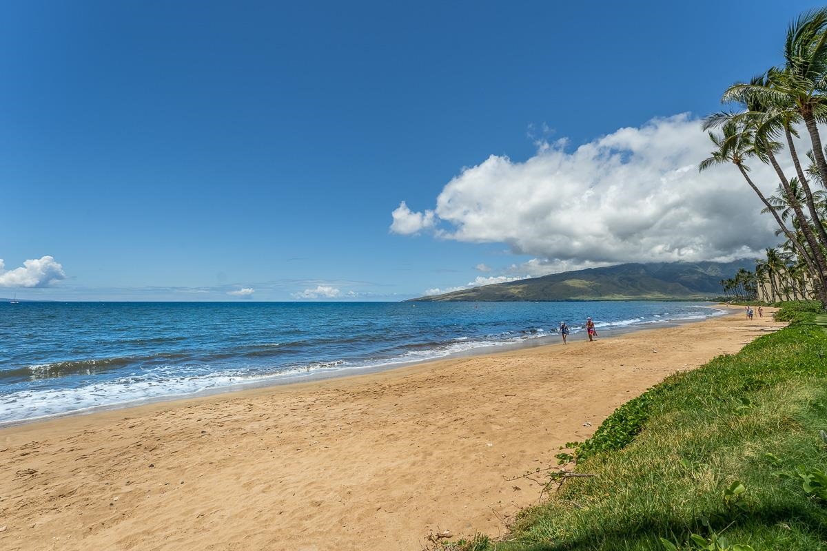 Maalaea Surf condo # F2, Kihei, Hawaii - photo 46 of 46