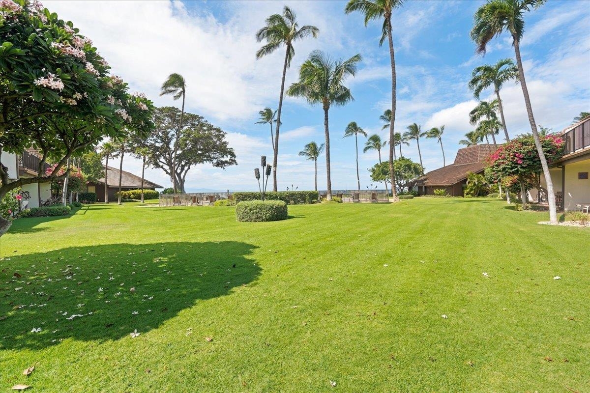 Maalaea Surf condo # F2, Kihei, Hawaii - photo 29 of 49