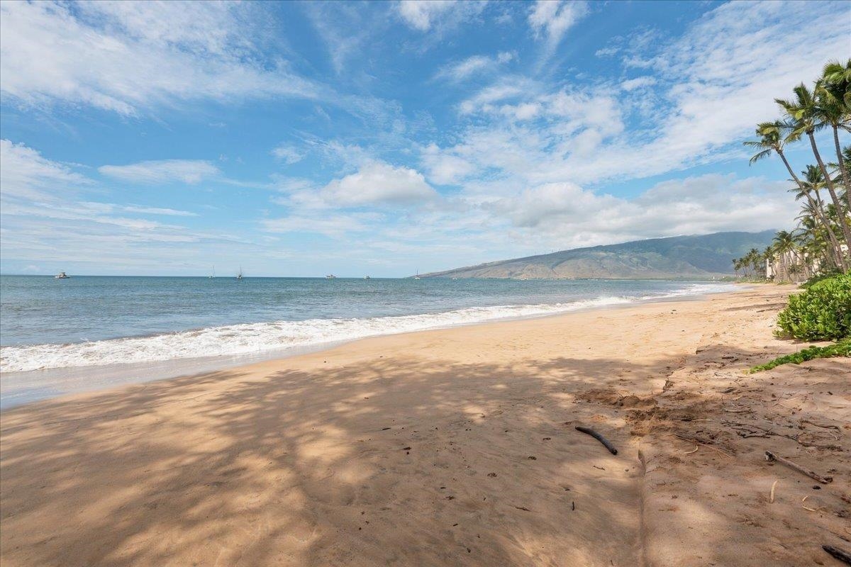 Maalaea Surf condo # F2, Kihei, Hawaii - photo 41 of 49