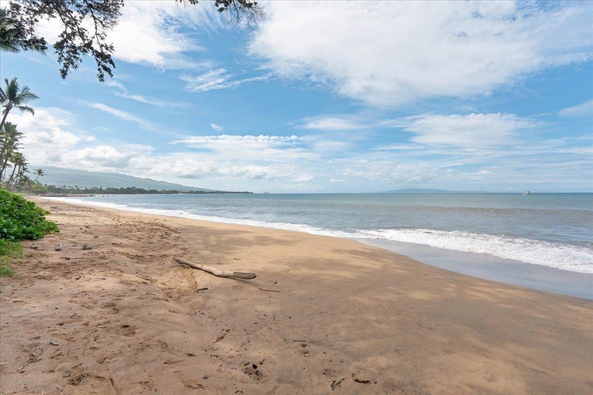 Maalaea Surf condo # F2, Kihei, Hawaii - photo 42 of 49