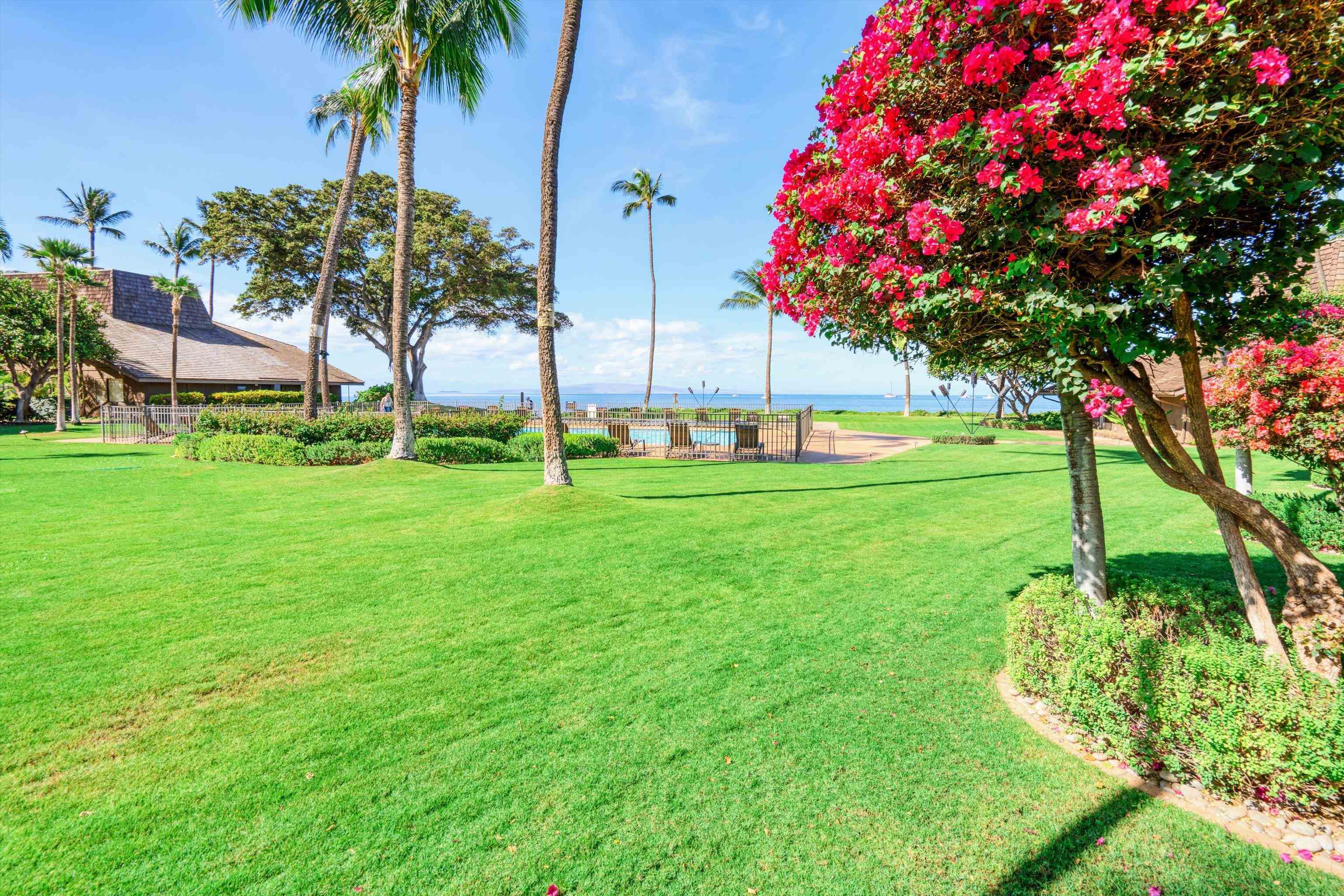 Maalaea Surf condo # G5, Kihei, Hawaii - photo 21 of 41