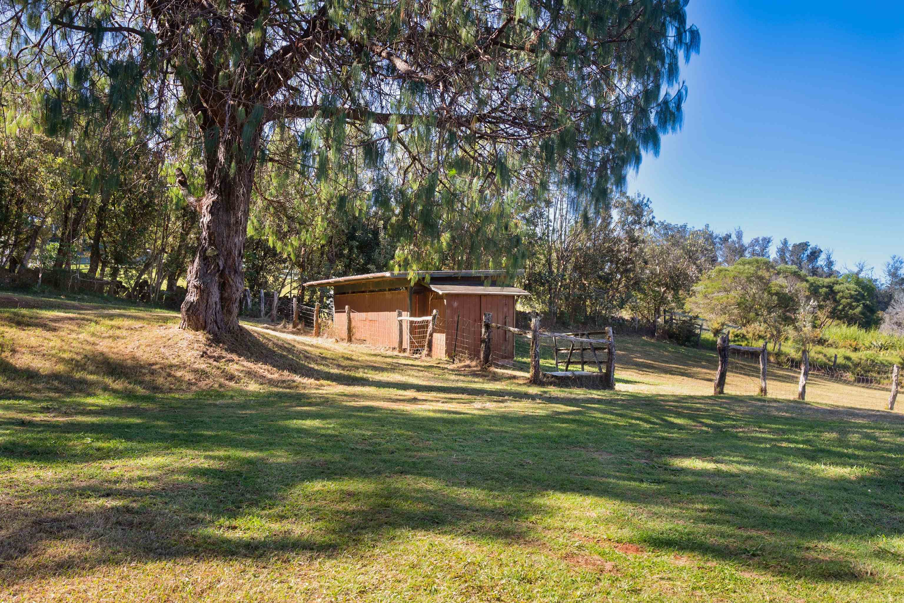 120  Ehu Iki Pl Upper Piiholo, Makawao/Olinda/Haliimaile home - photo 2 of 23