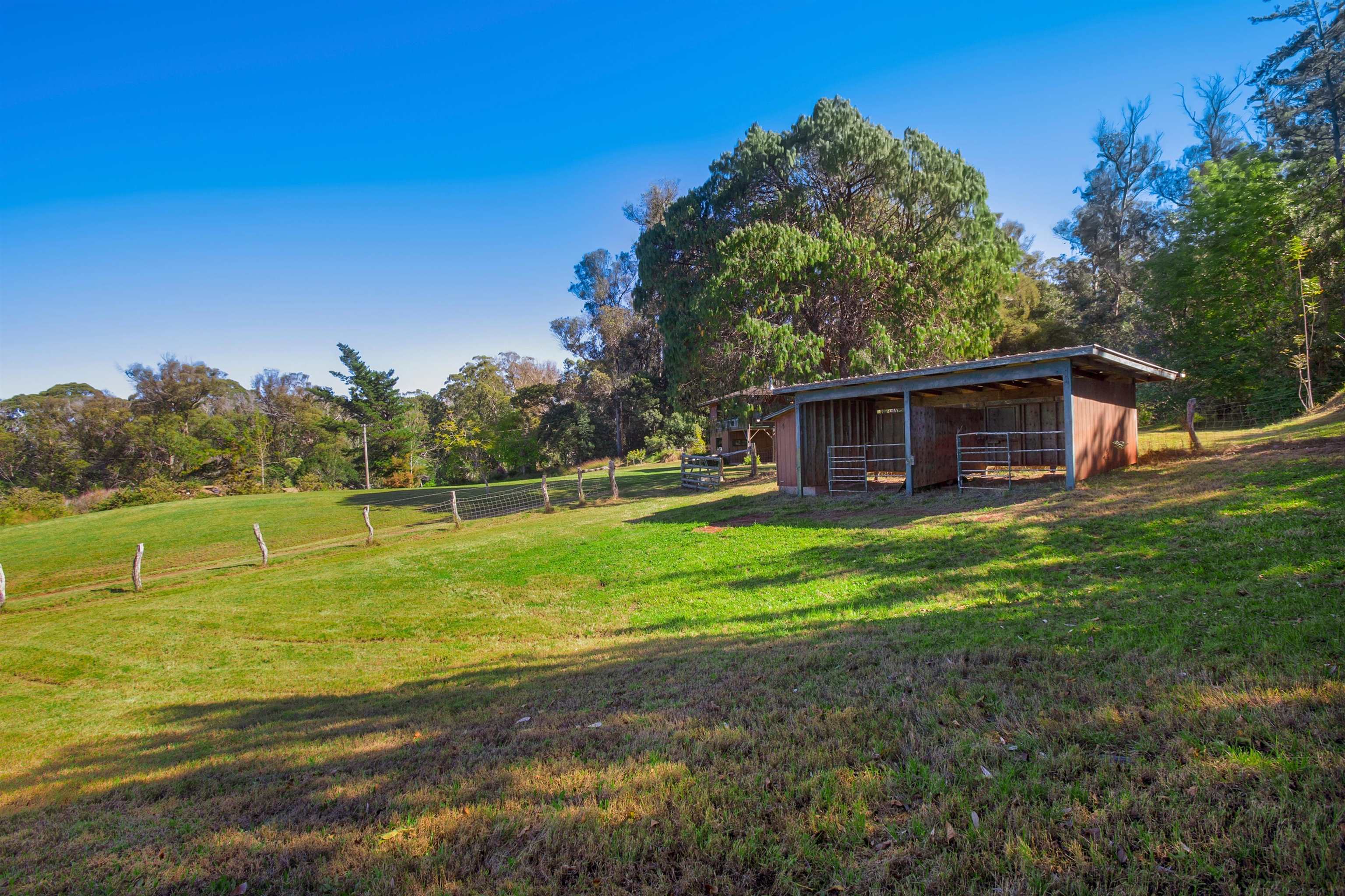 120  Ehu Iki Pl Upper Piiholo, Makawao/Olinda/Haliimaile home - photo 4 of 23