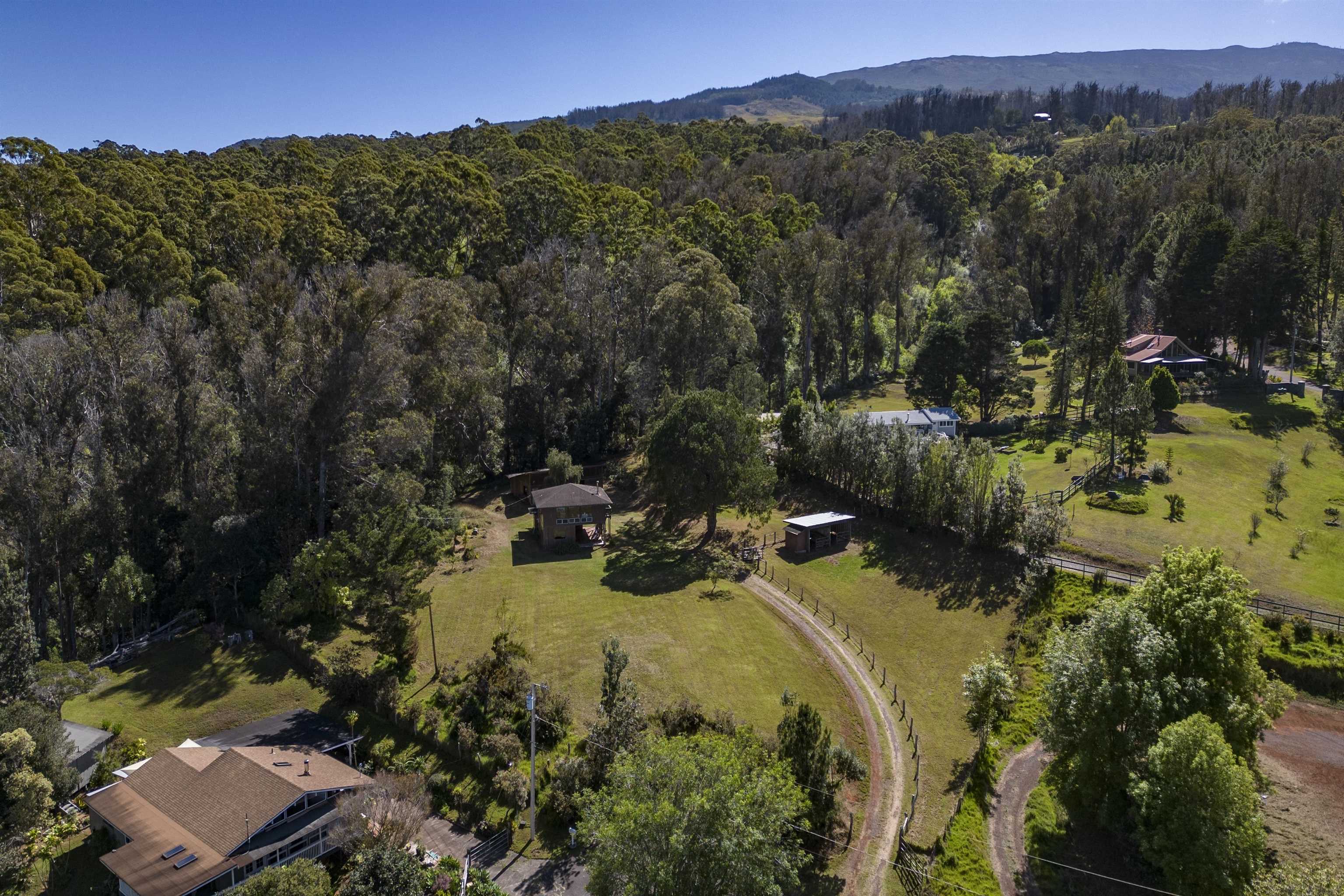 120  Ehu Iki Pl Upper Piiholo, Makawao/Olinda/Haliimaile home - photo 5 of 23