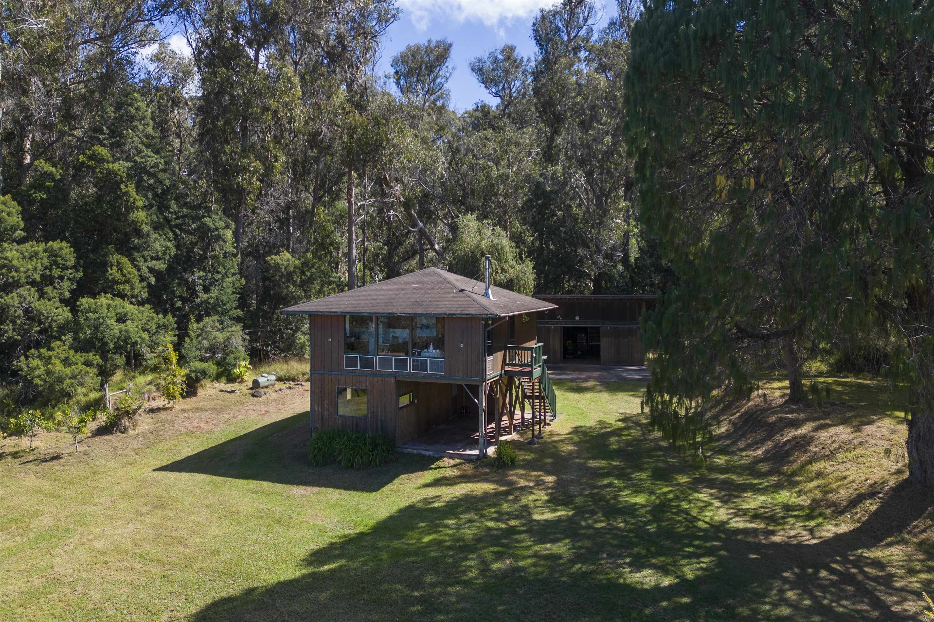 120  Ehu Iki Pl Upper Piiholo, Makawao/Olinda/Haliimaile home - photo 6 of 23