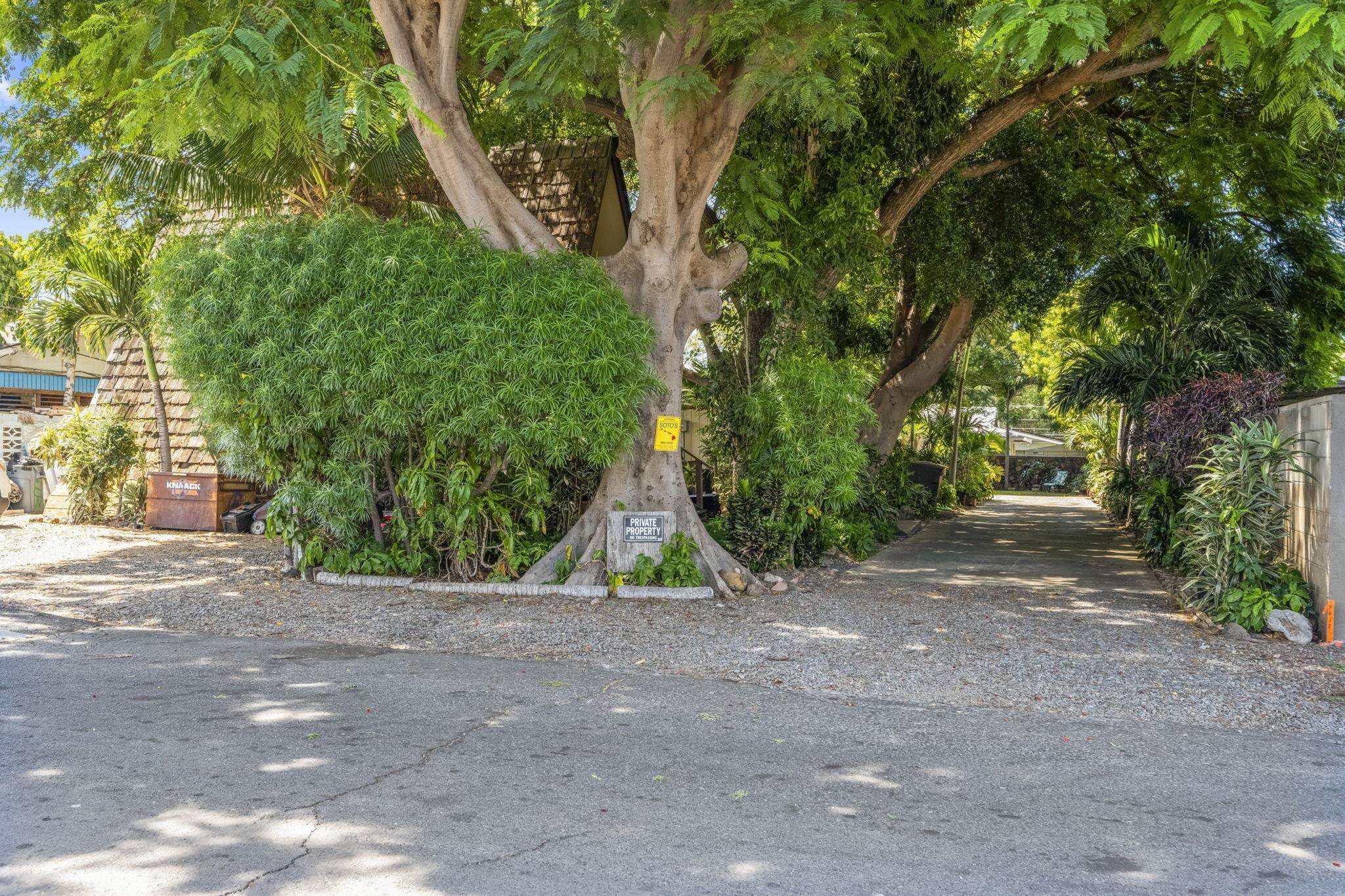 120  Eleu Pl Waiohuli Ahupua`a, Kihei home - photo 2 of 19