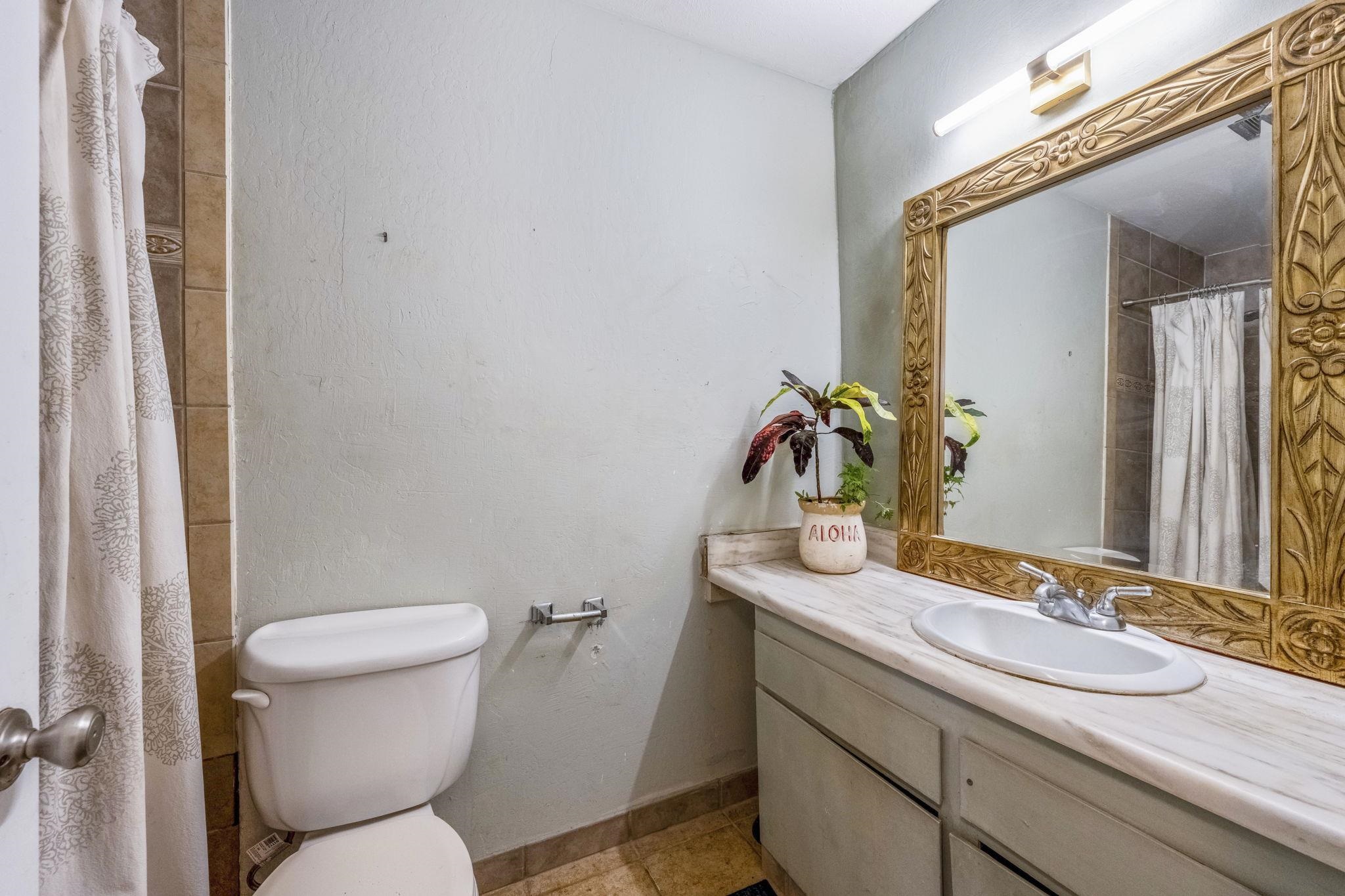 120  Eleu Pl Waiohuli Ahupua`a, Kihei home - photo 11 of 19