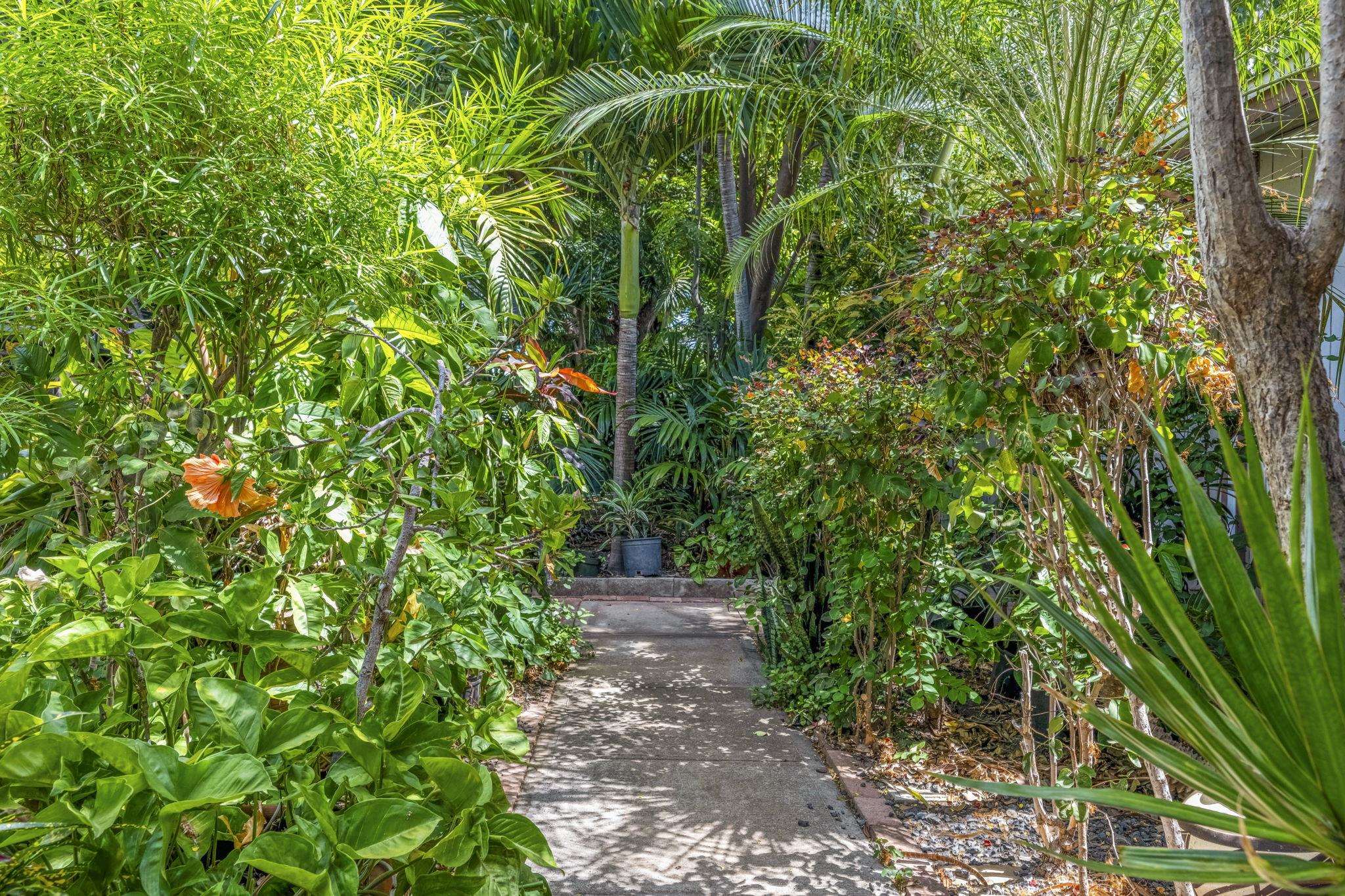 120  Eleu Pl Waiohuli Ahupua`a, Kihei home - photo 4 of 19