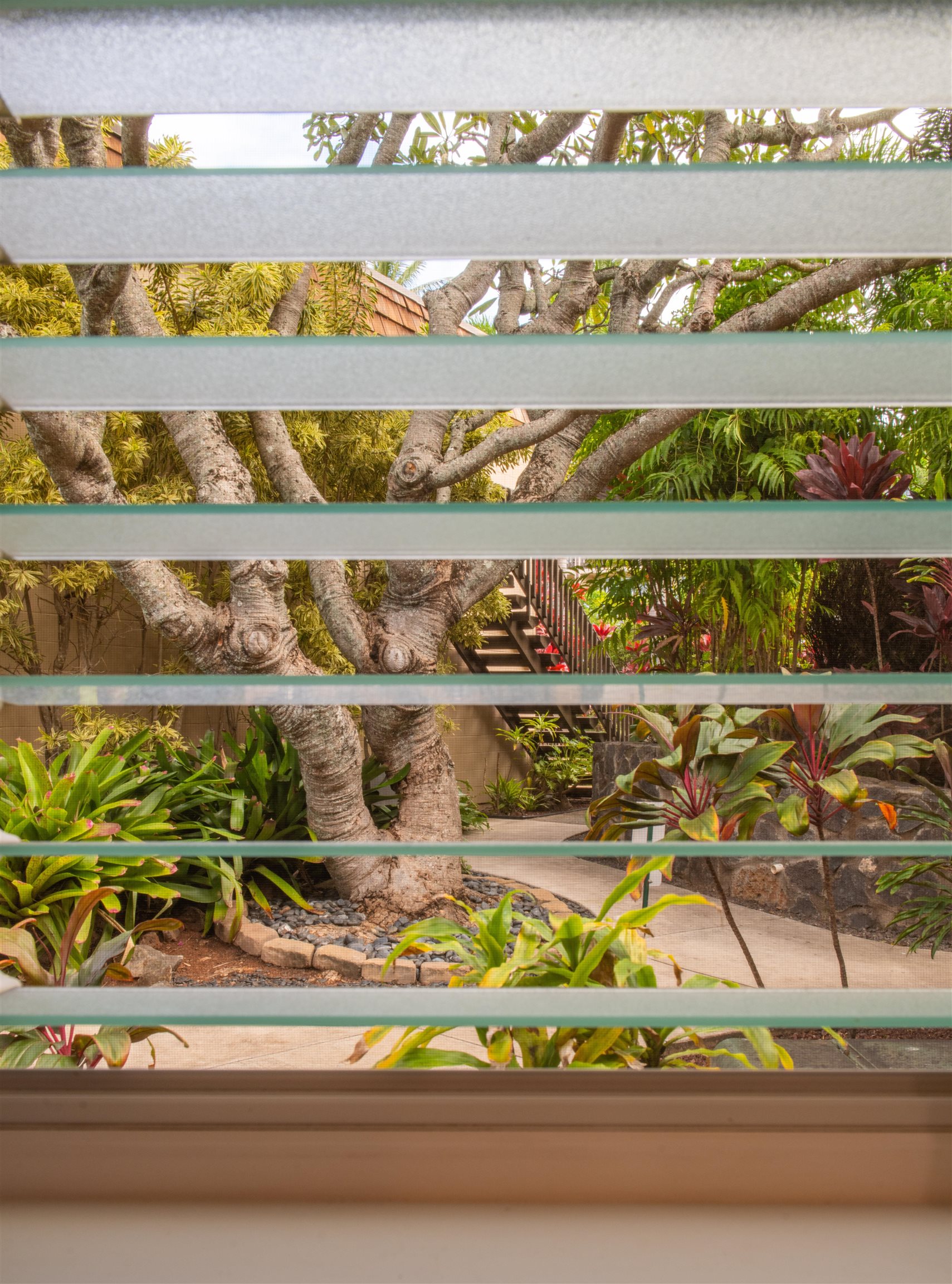 Napili Ridge condo # I6, Lahaina, Hawaii - photo 23 of 30