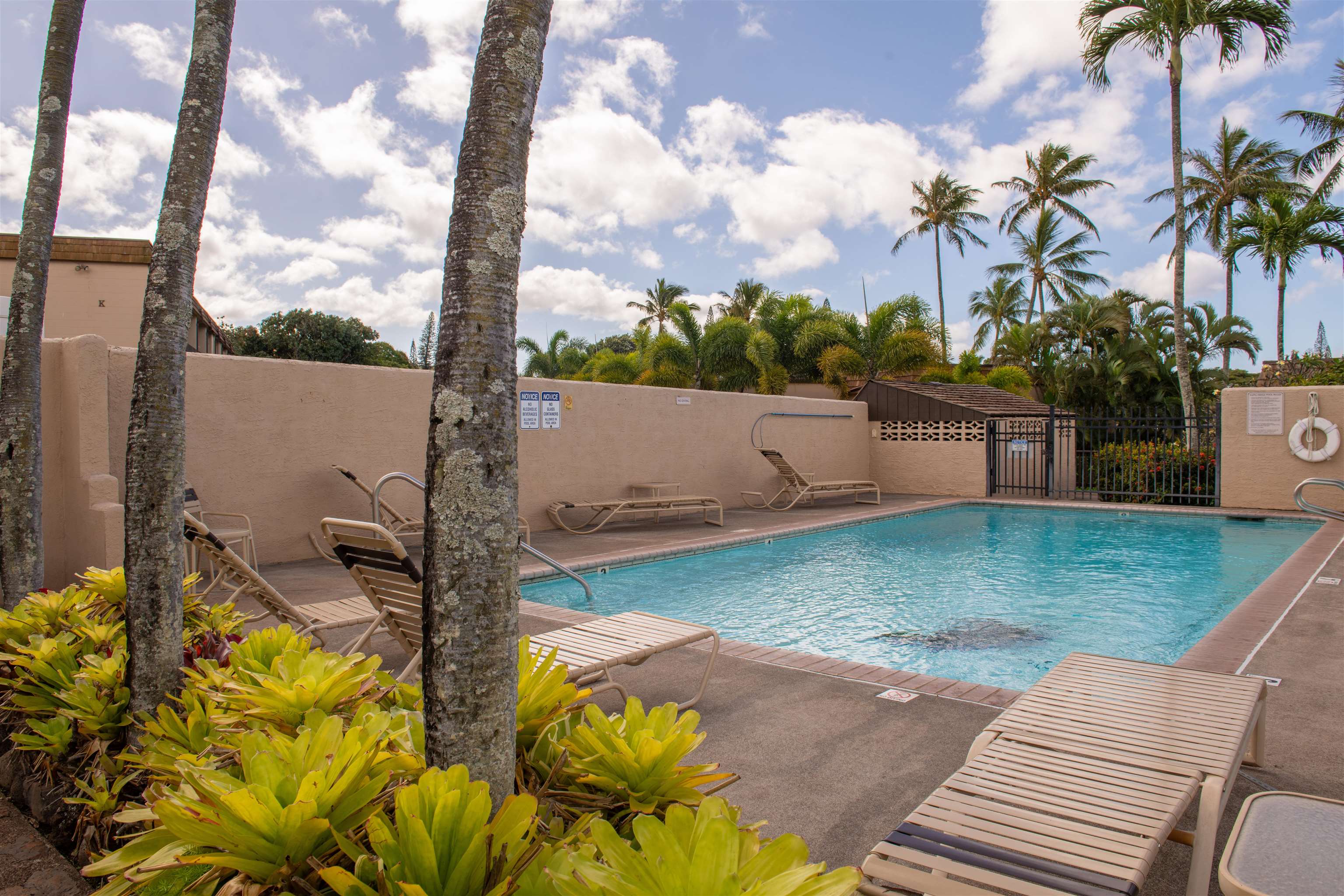 Napili Ridge condo # I6, Lahaina, Hawaii - photo 25 of 30