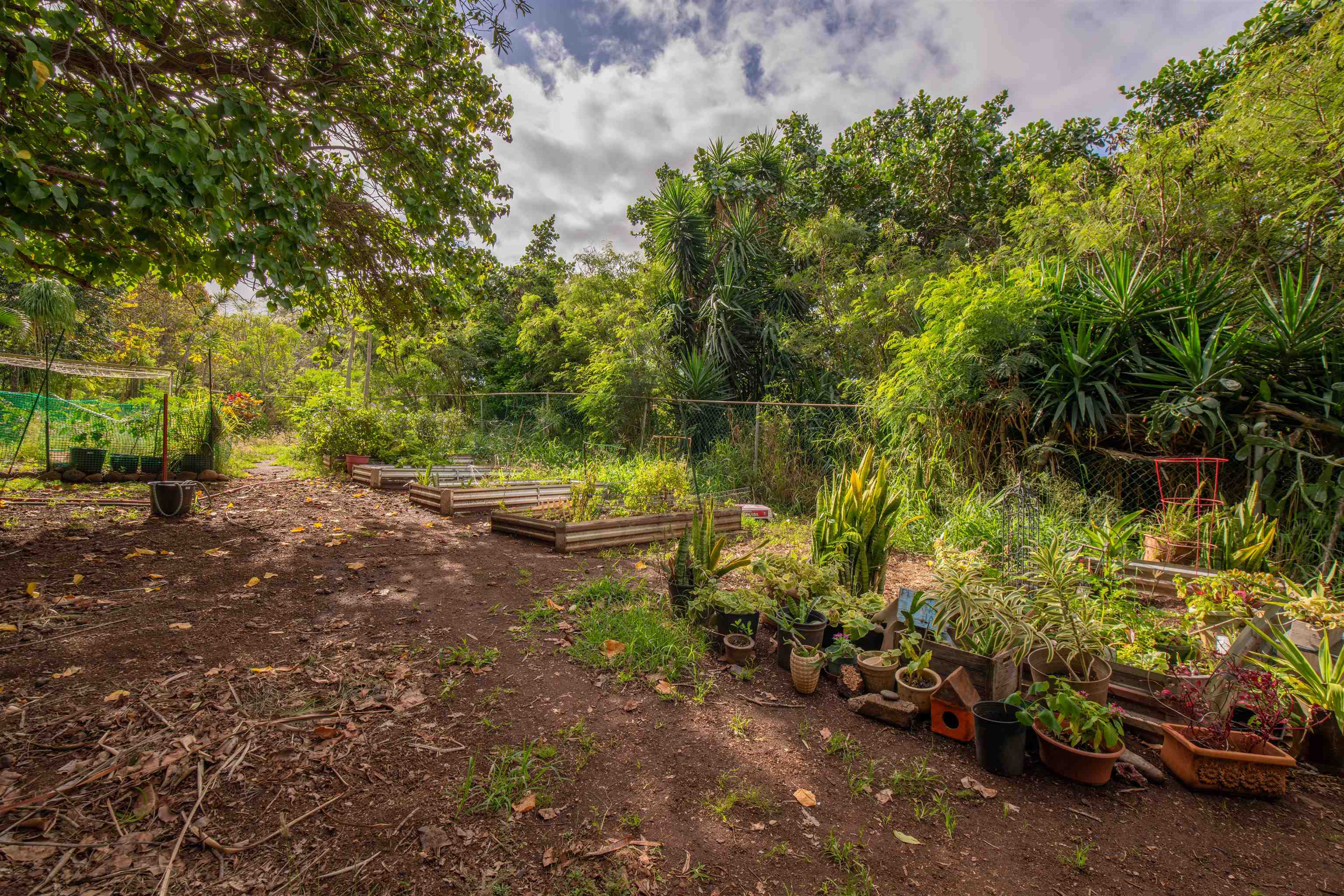 Napili Ridge condo # I6, Lahaina, Hawaii - photo 29 of 30