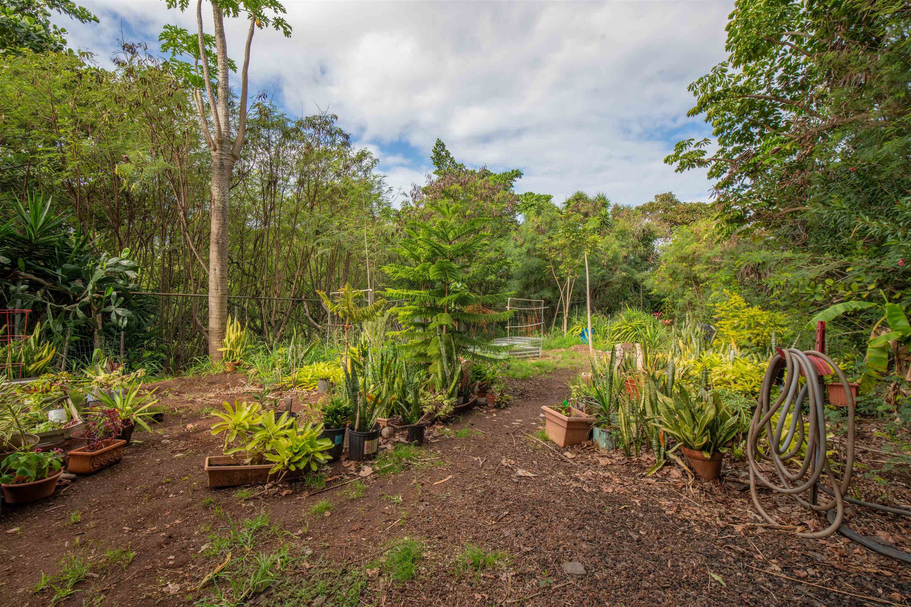 Napili Ridge condo # I6, Lahaina, Hawaii - photo 30 of 30