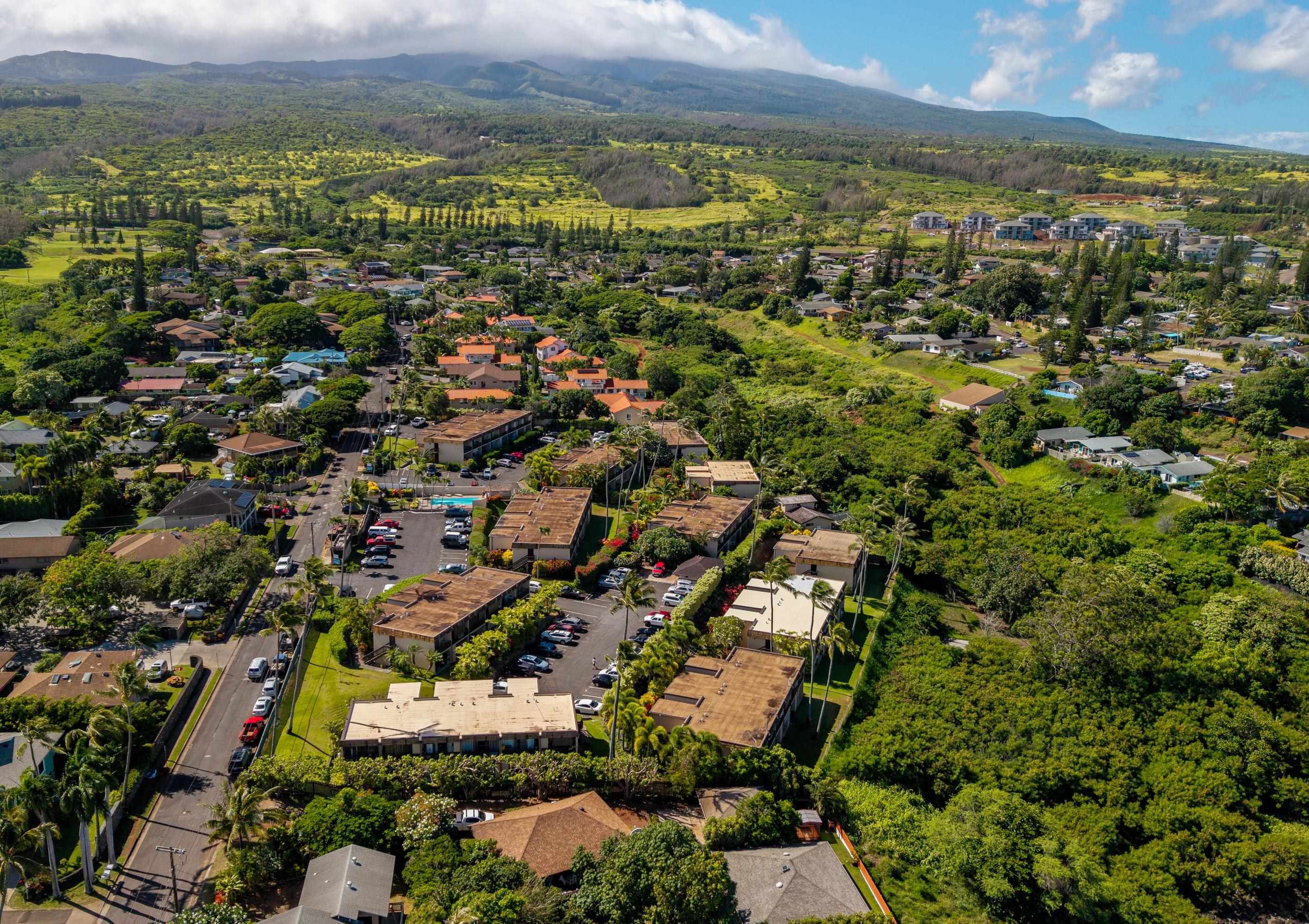 Napili Ridge condo # J5, Lahaina, Hawaii - photo 42 of 50