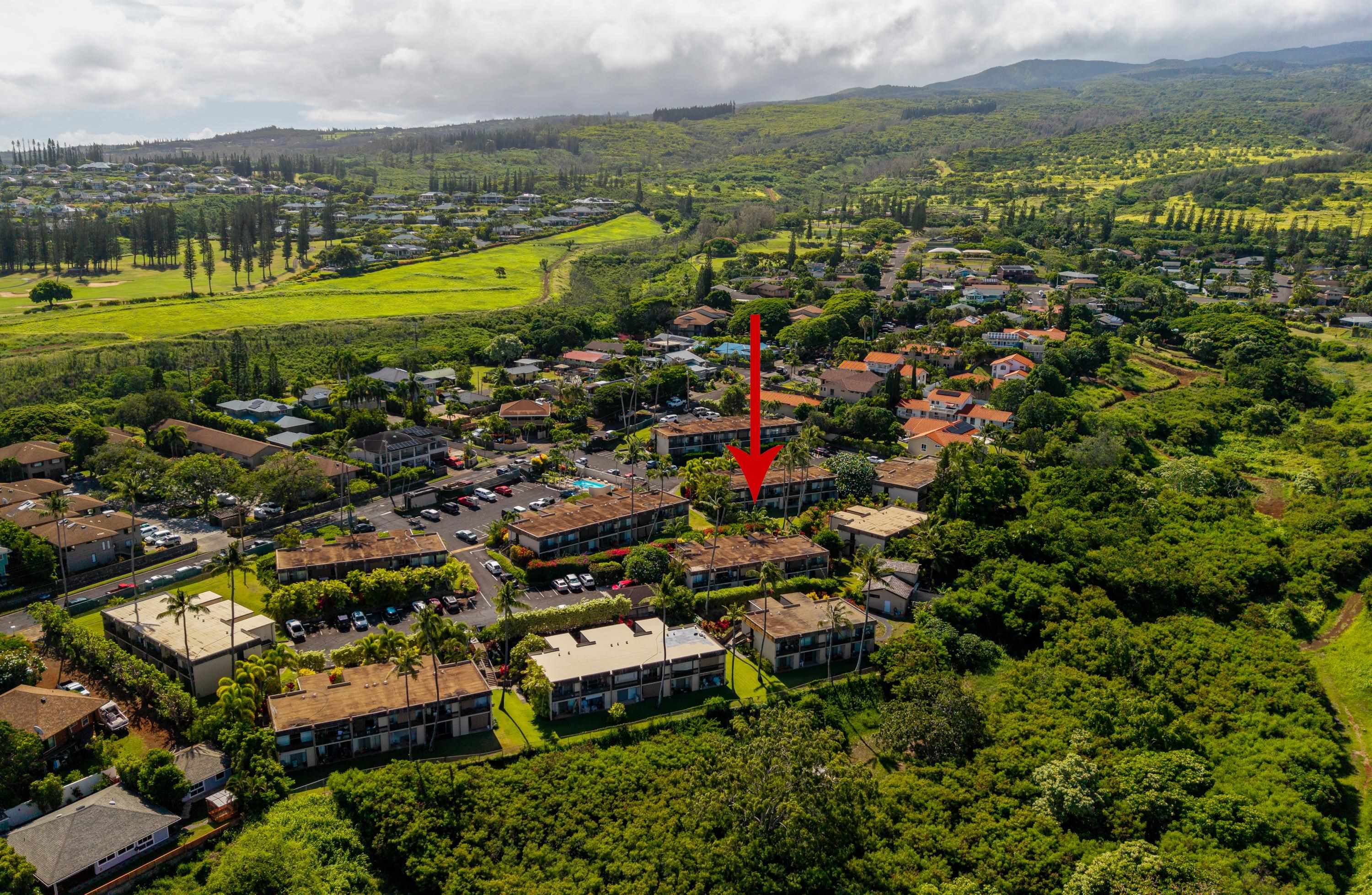 Napili Ridge condo # J5, Lahaina, Hawaii - photo 47 of 50