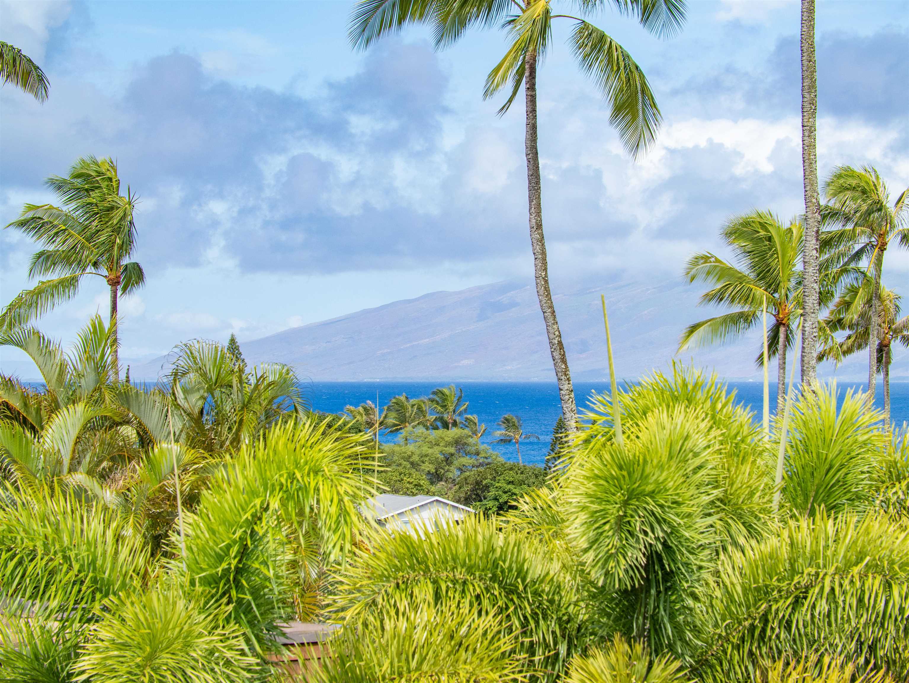 Napili Ridge condo # K15, Lahaina, Hawaii - photo 5 of 21