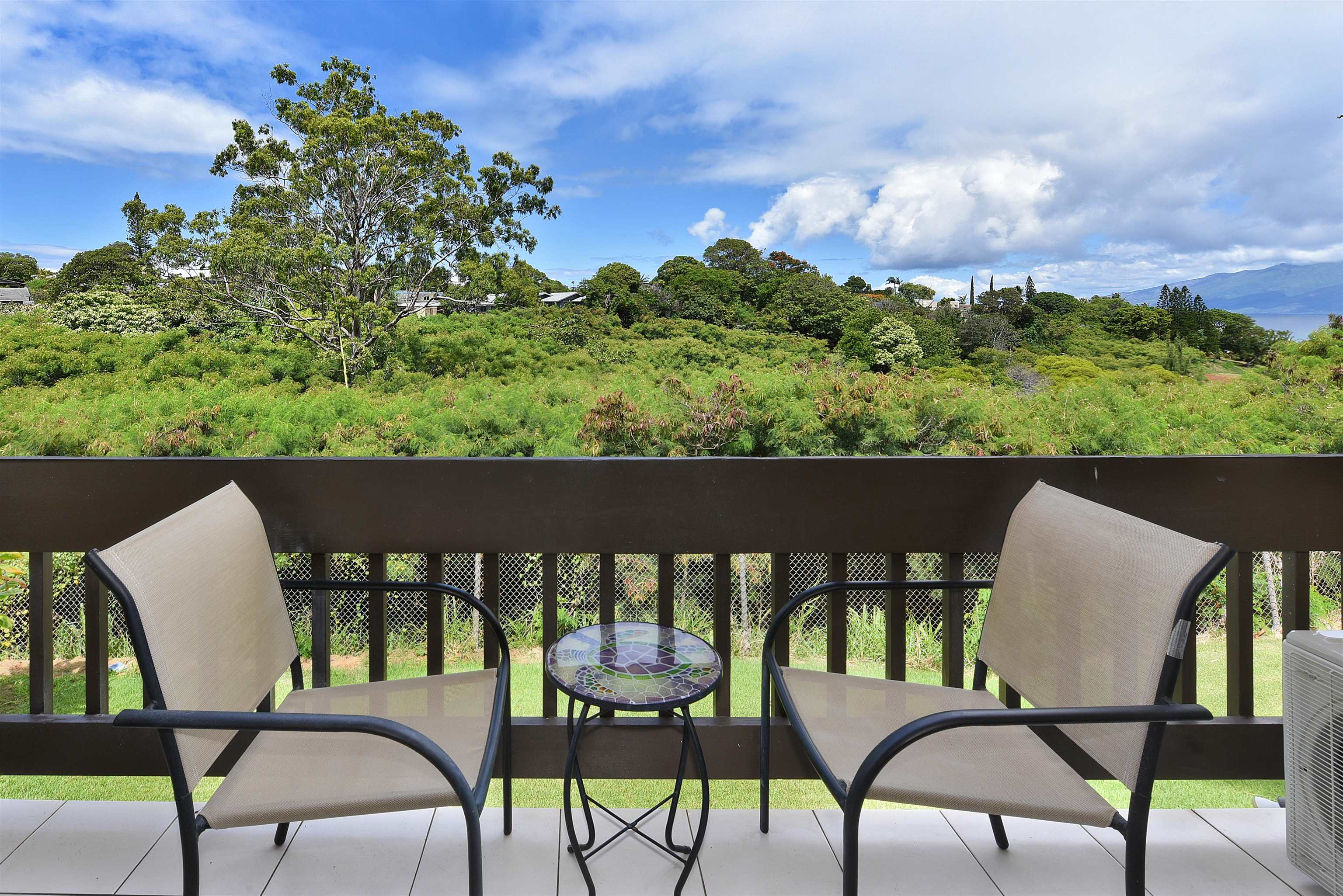 Napili Ridge condo # 16 E, Lahaina, Hawaii - photo 33 of 44