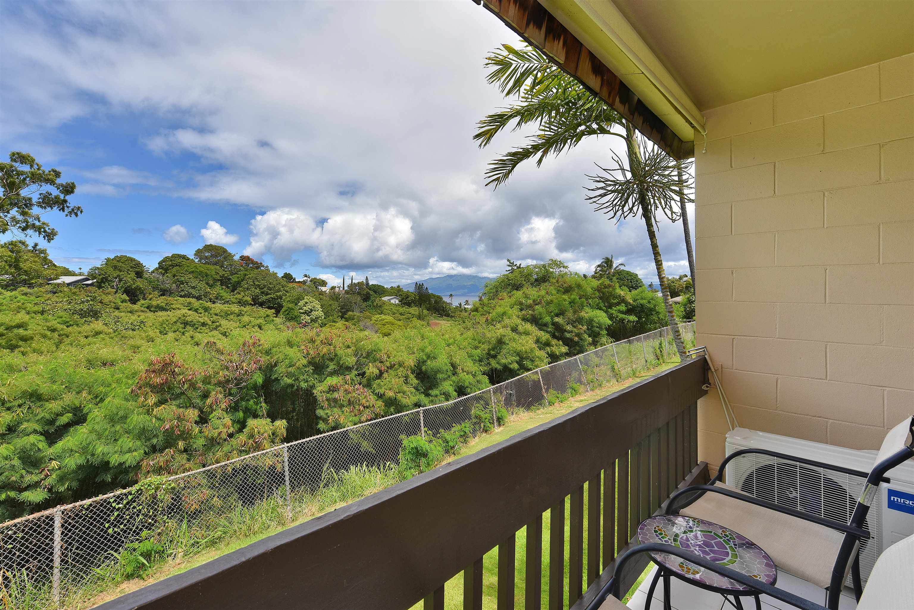 Napili Ridge condo # 16 E, Lahaina, Hawaii - photo 34 of 44