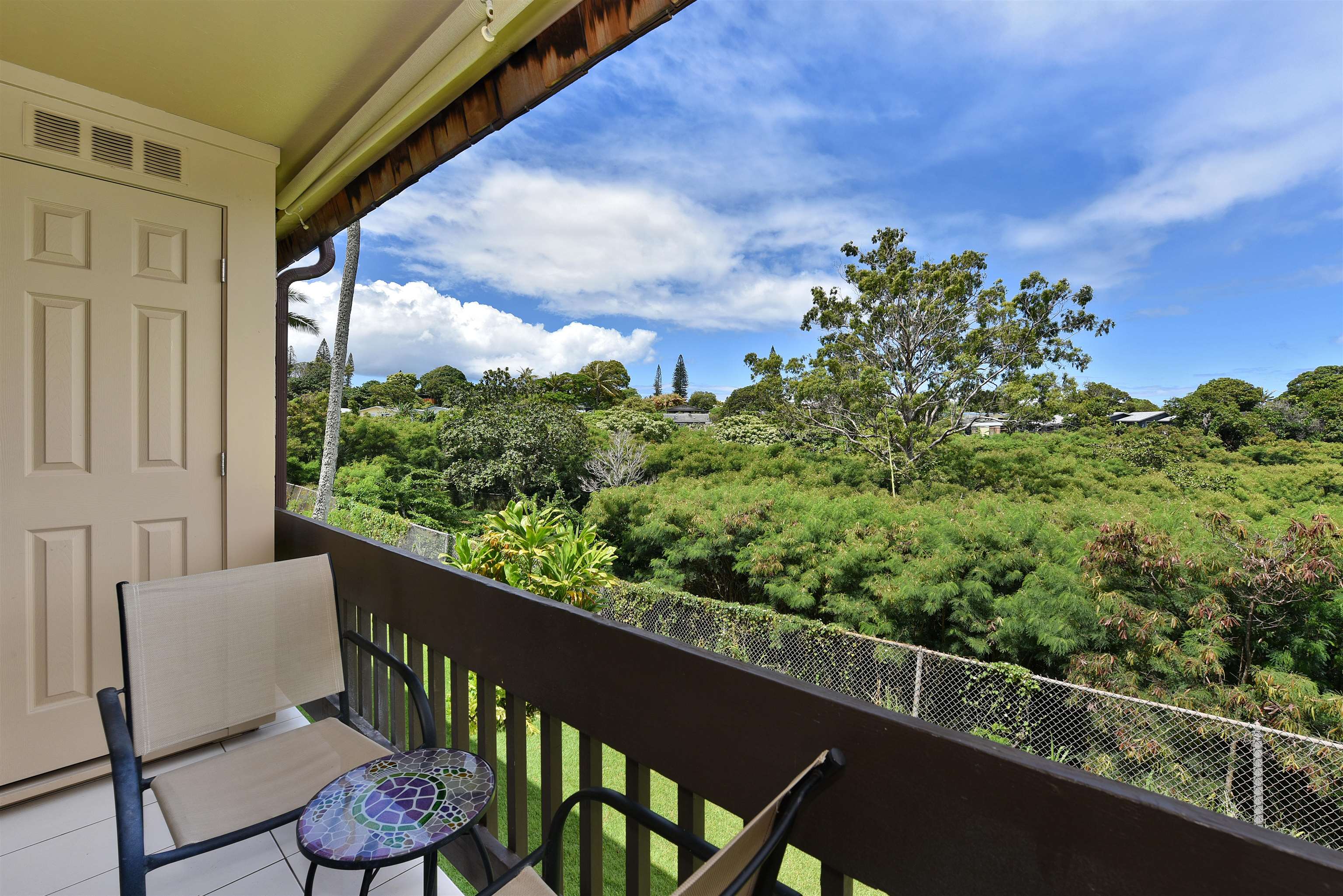 Napili Ridge condo # 16 E, Lahaina, Hawaii - photo 35 of 44