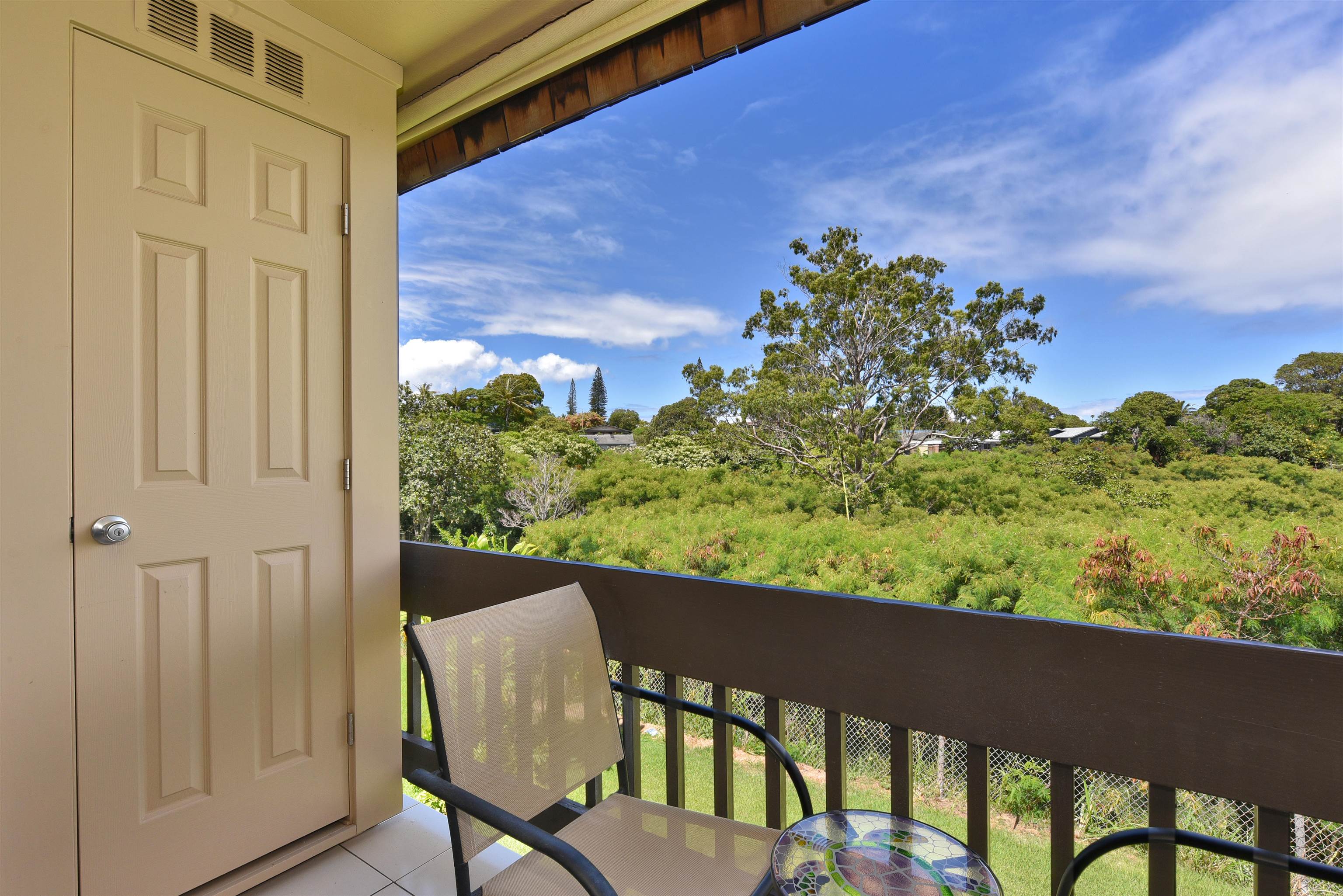 Napili Ridge condo # 16 E, Lahaina, Hawaii - photo 36 of 44