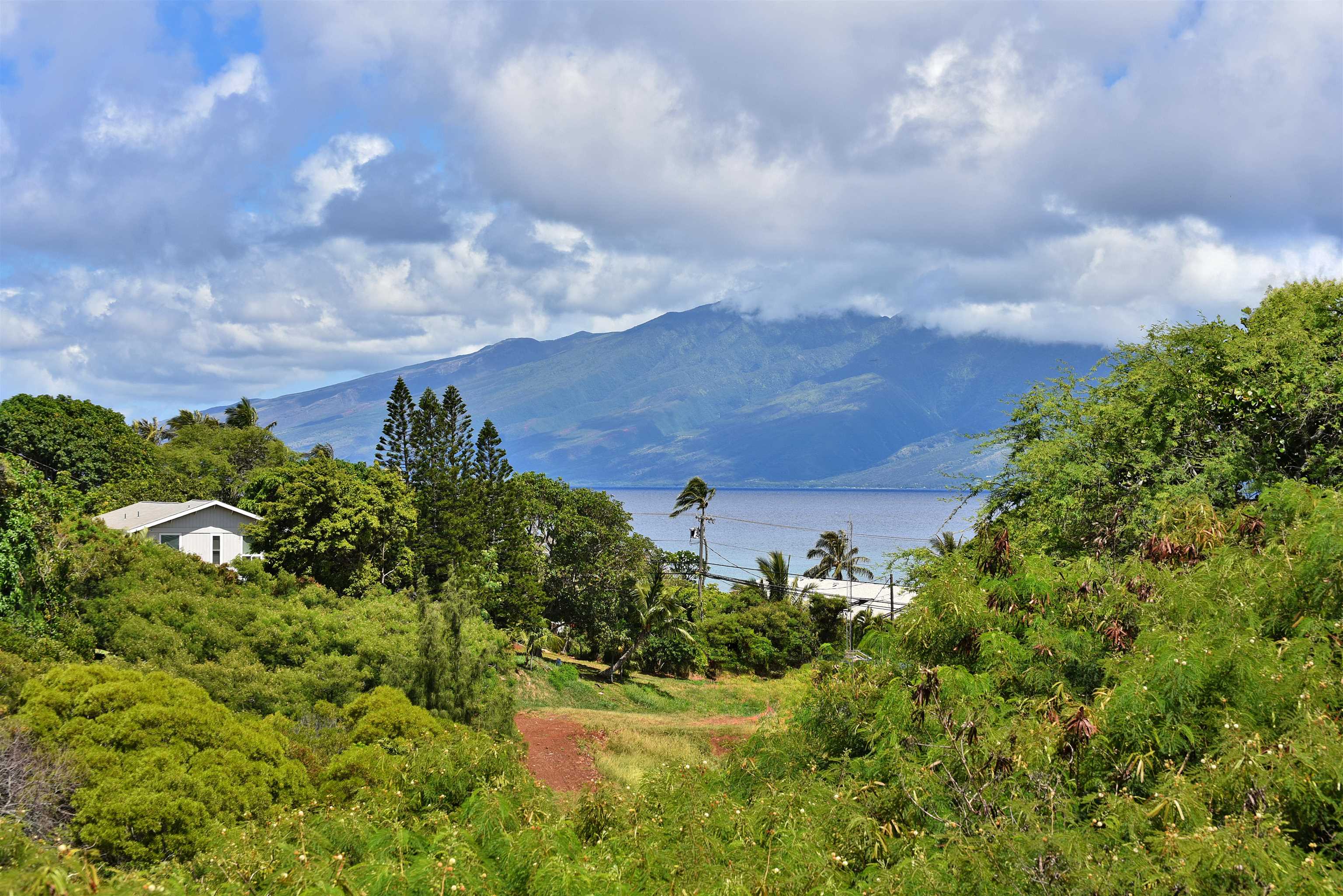 Napili Ridge condo # 16 E, Lahaina, Hawaii - photo 39 of 44