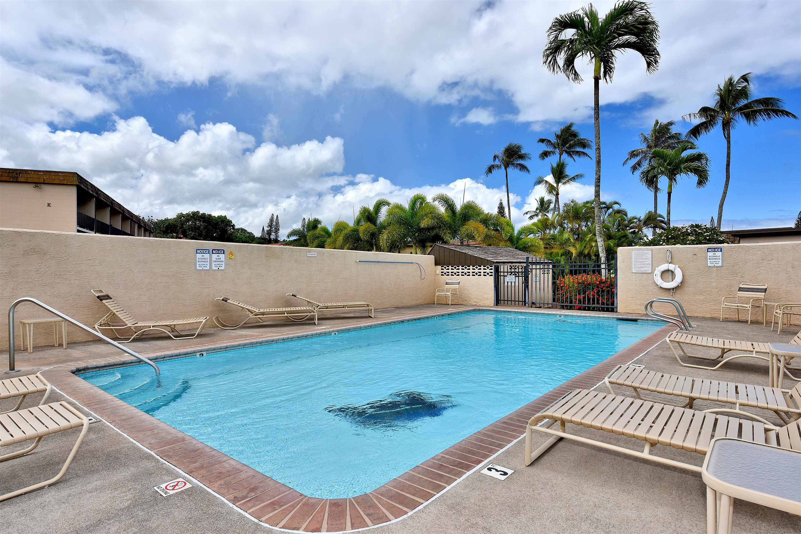 Napili Ridge condo # 16 E, Lahaina, Hawaii - photo 40 of 44