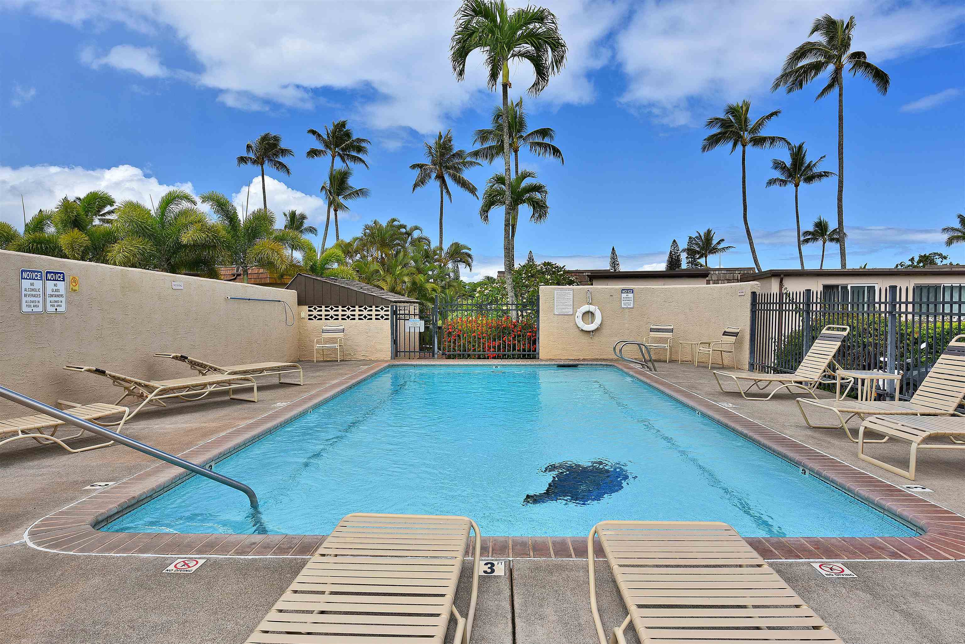 Napili Ridge condo # 16 E, Lahaina, Hawaii - photo 41 of 44